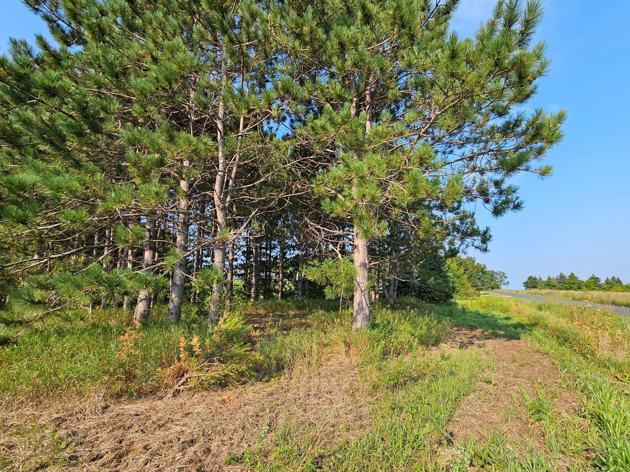 Lot 18 115th Avenue Property Photo 7