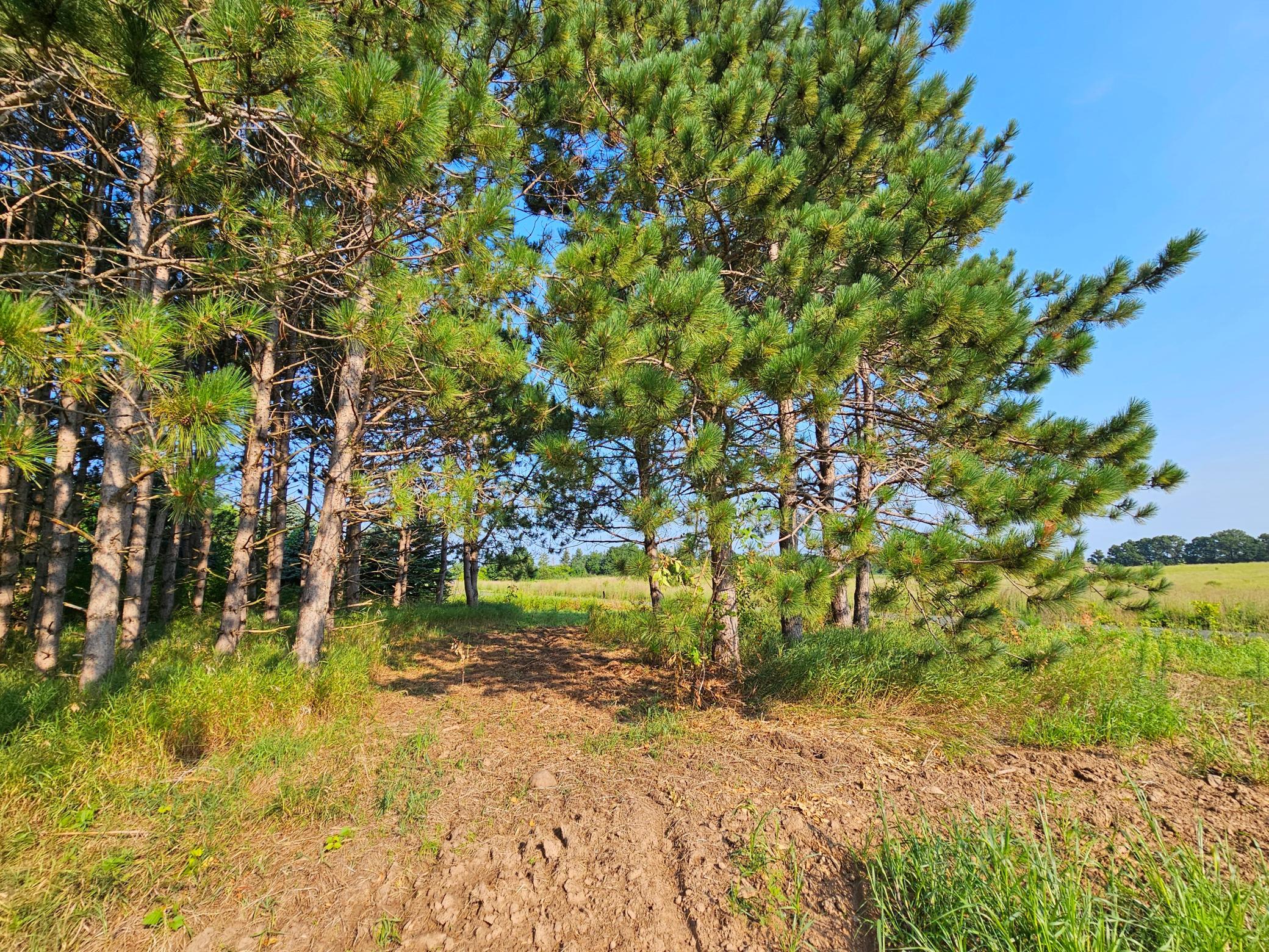 Lot 18 115th Avenue Property Photo 8