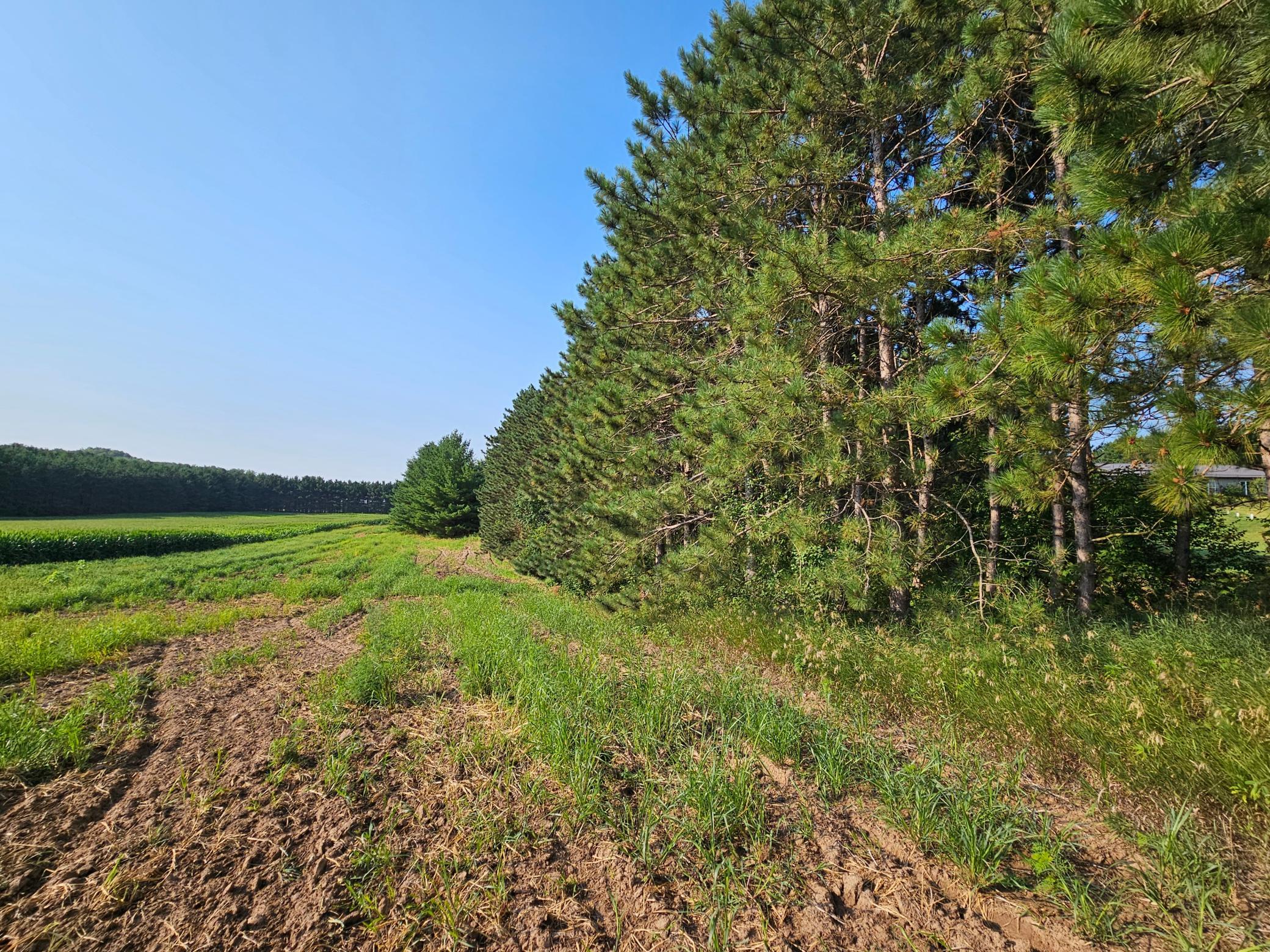 Lot 18 115th Avenue Property Photo 9