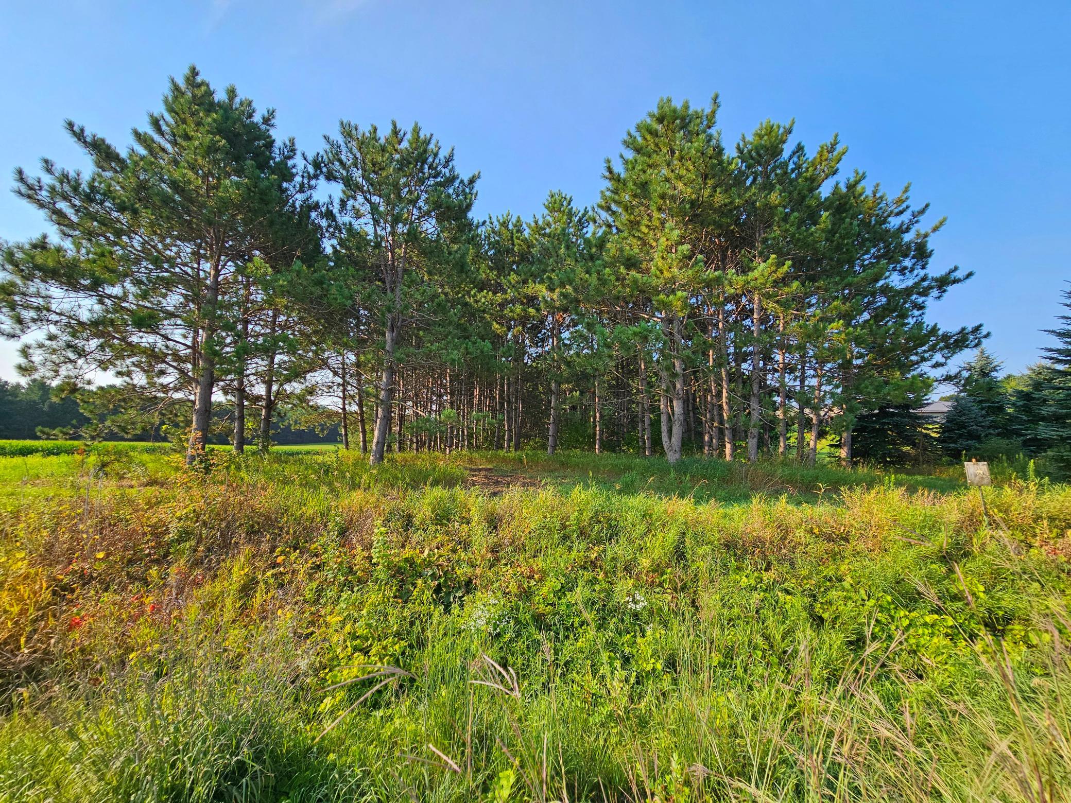 Lot 18 115th Avenue Property Photo 10