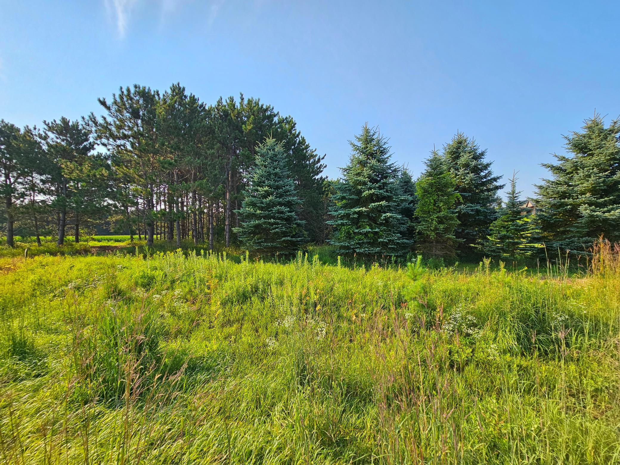 Lot 18 115th Avenue Property Photo 11