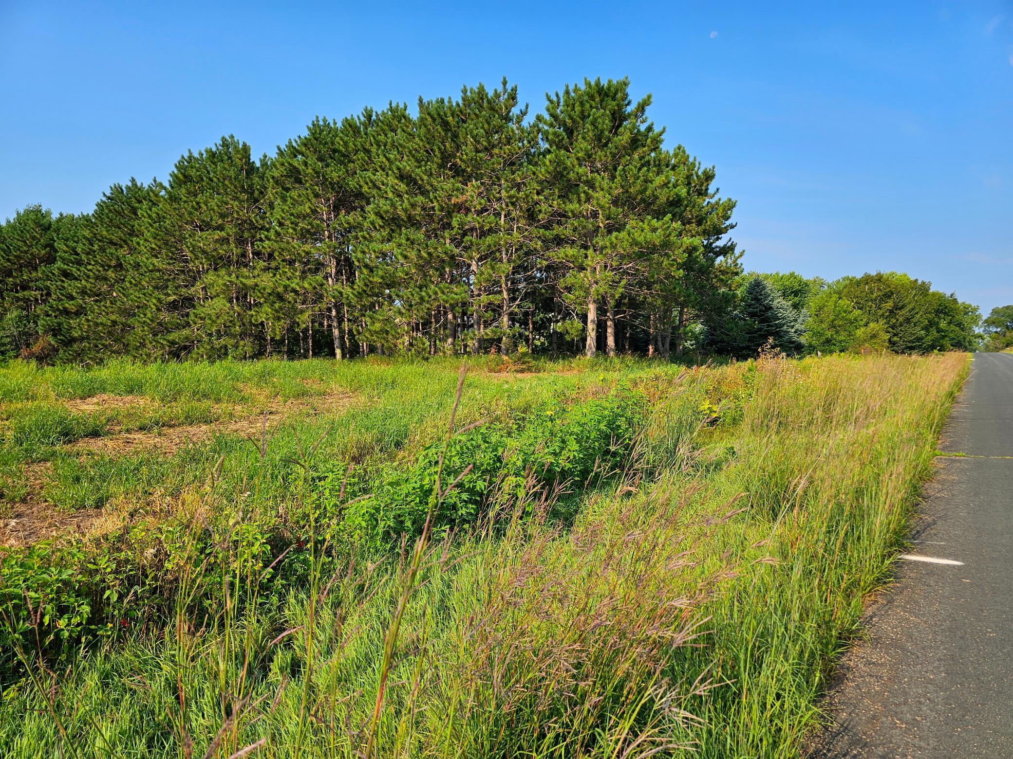 Lot 18 115th Avenue Property Photo 12