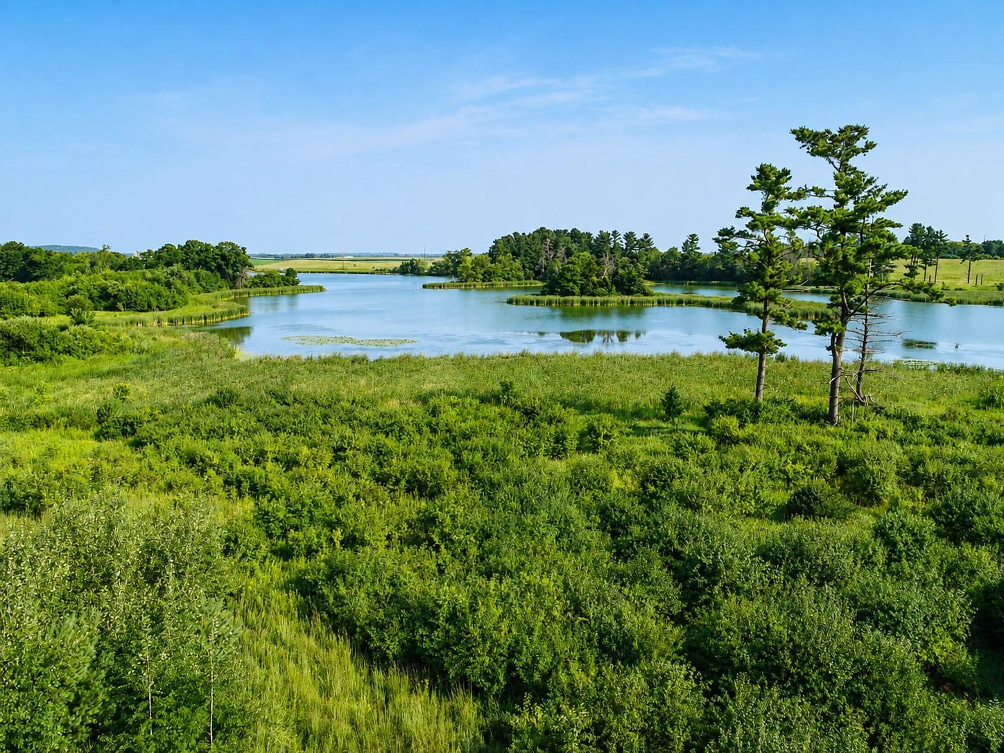 Lot 18 115th Avenue Property Photo 13