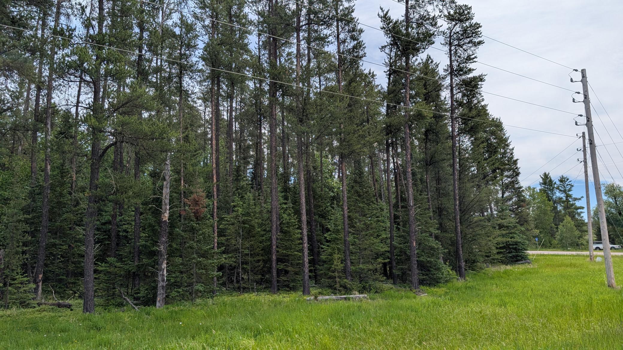 Tbd Vermilion Trail Property Photo 1