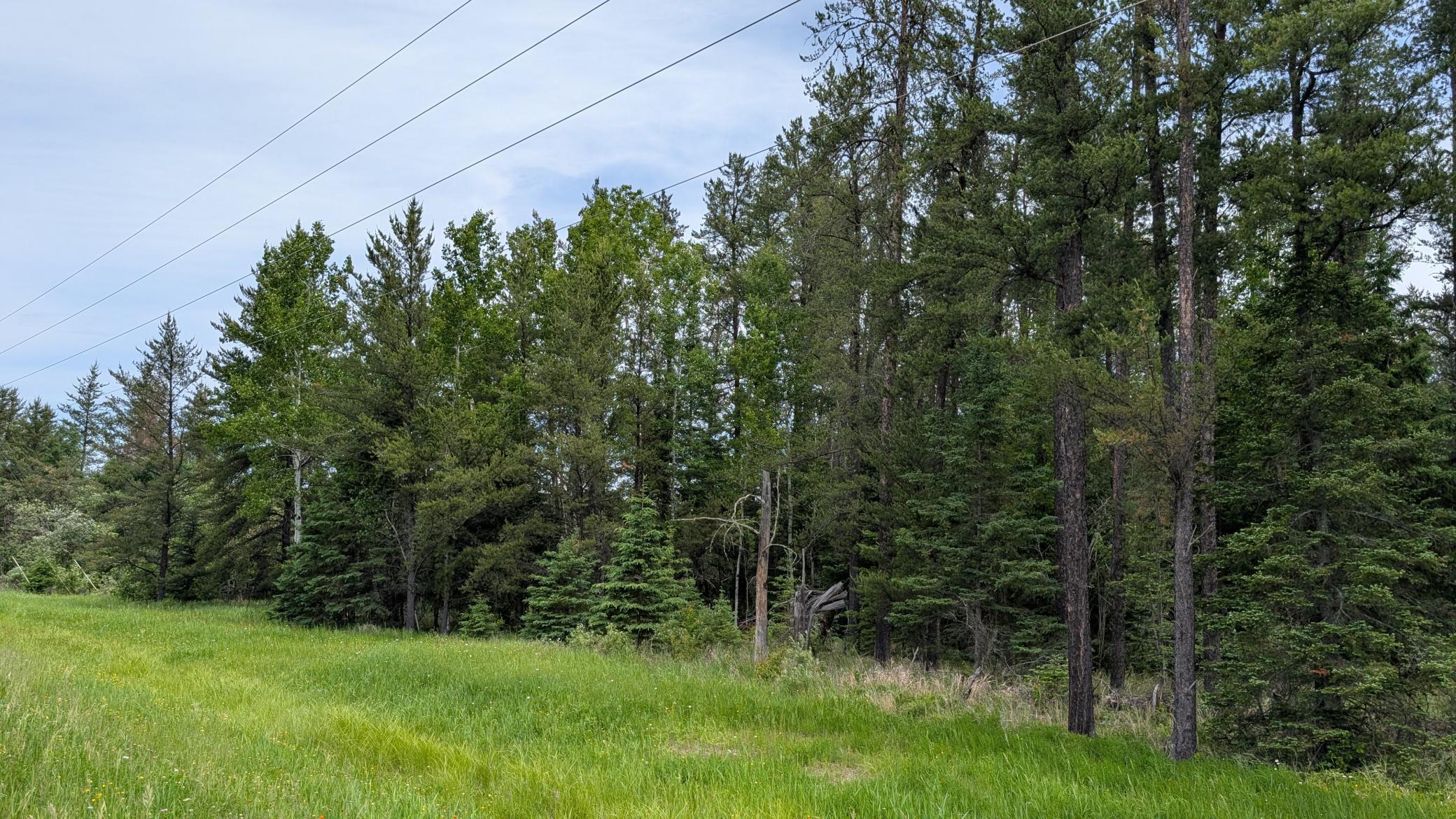 Tbd Vermilion Trail Property Photo 3