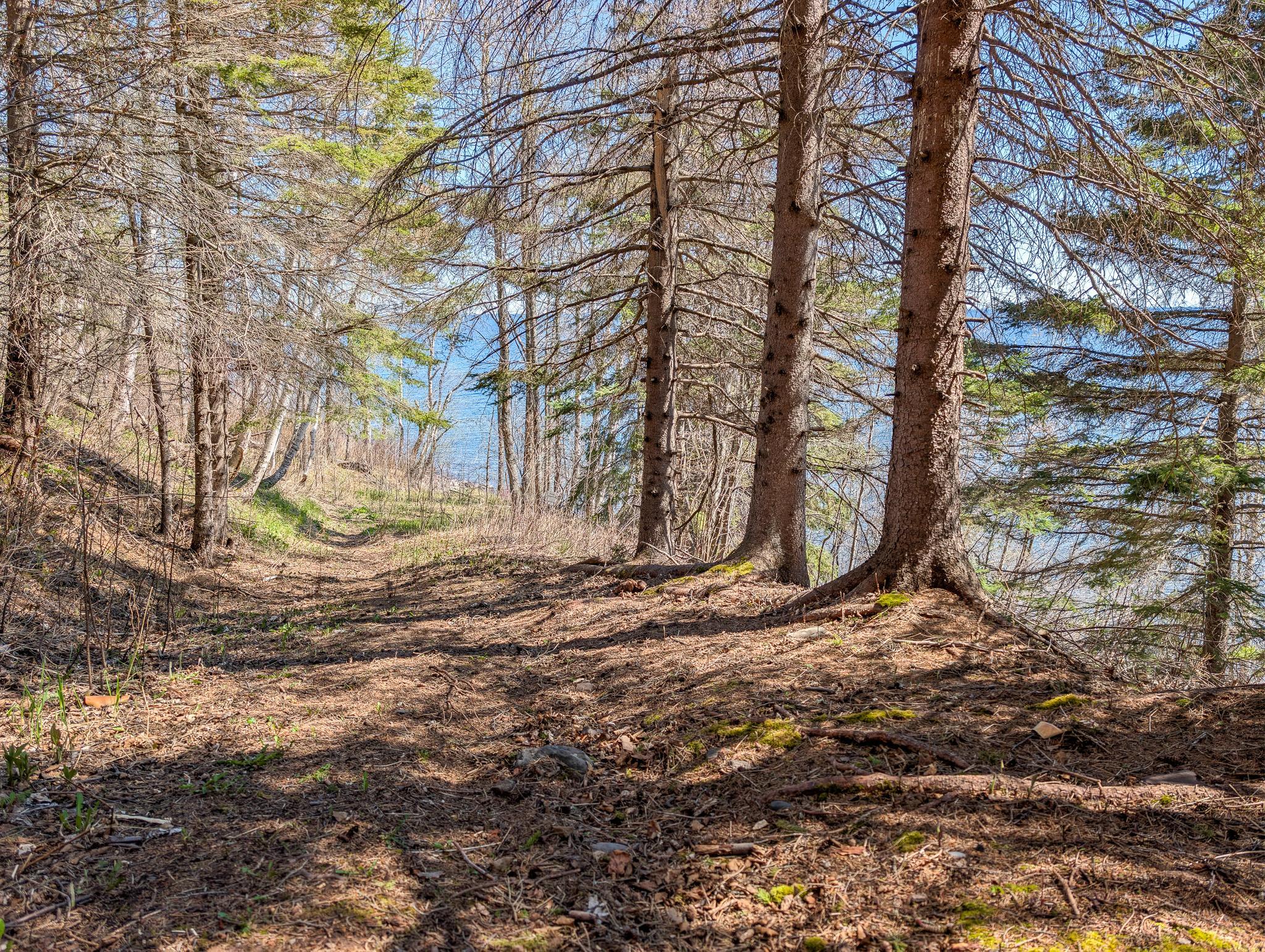 6076 Highway 61 Property Photo 30