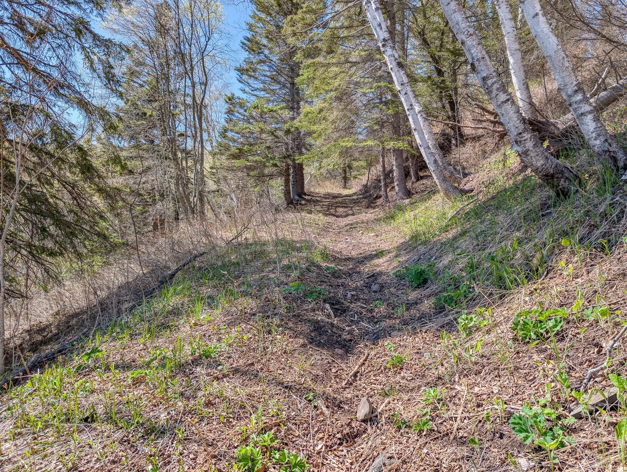6076 Highway 61 Property Photo 42