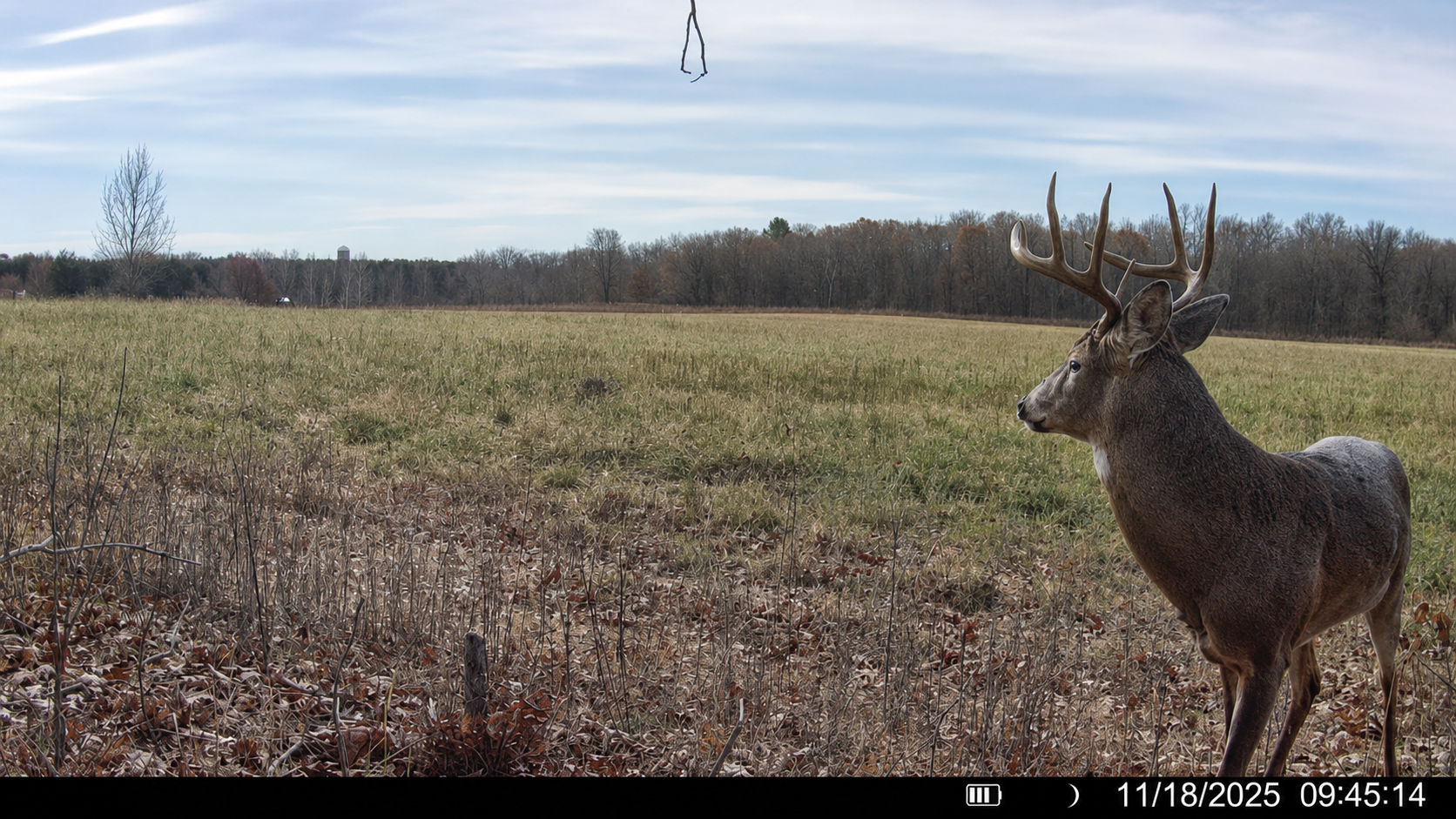 TBD County Road D