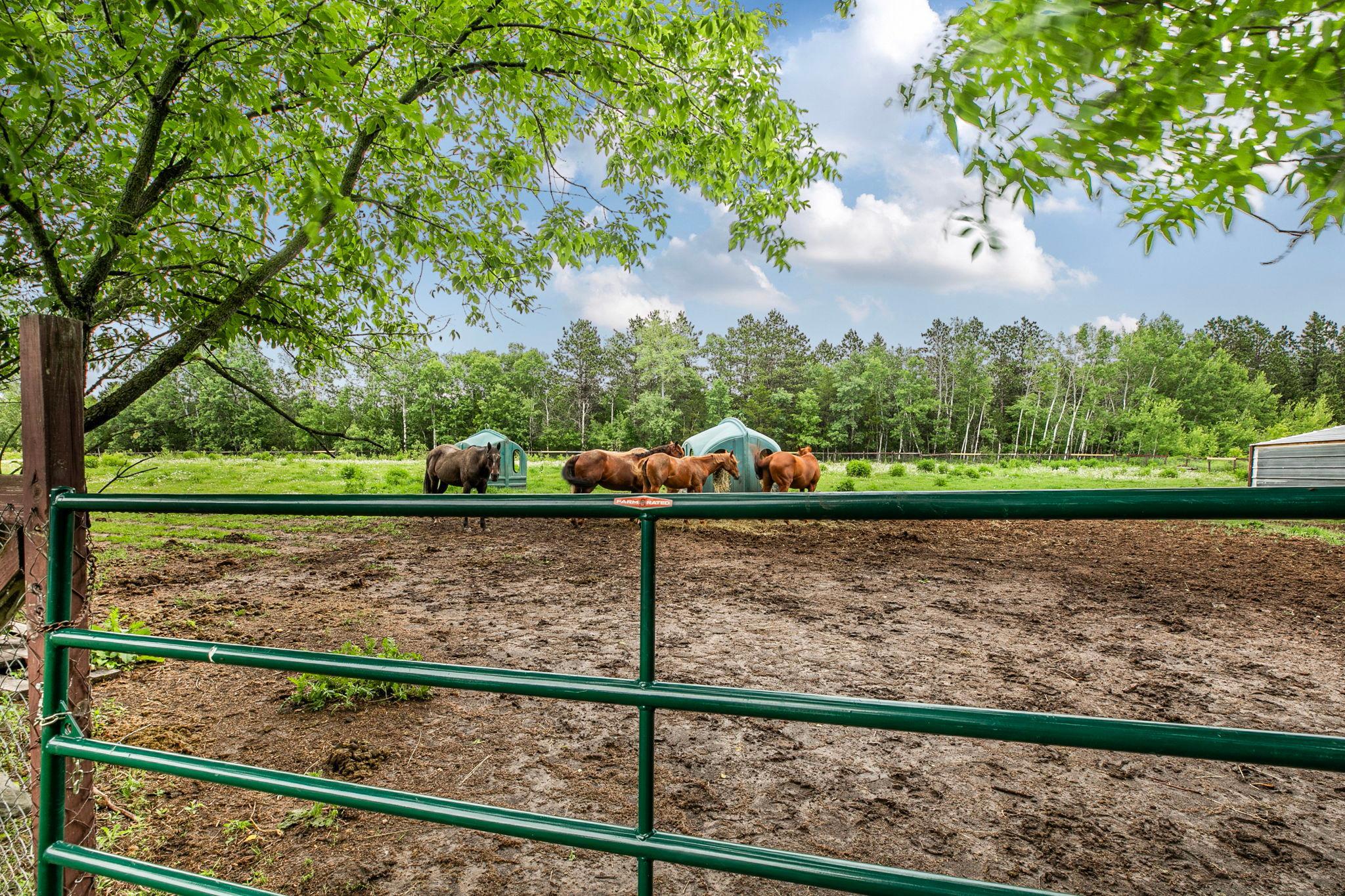 5668 Brook Creek Road Property Photo 8