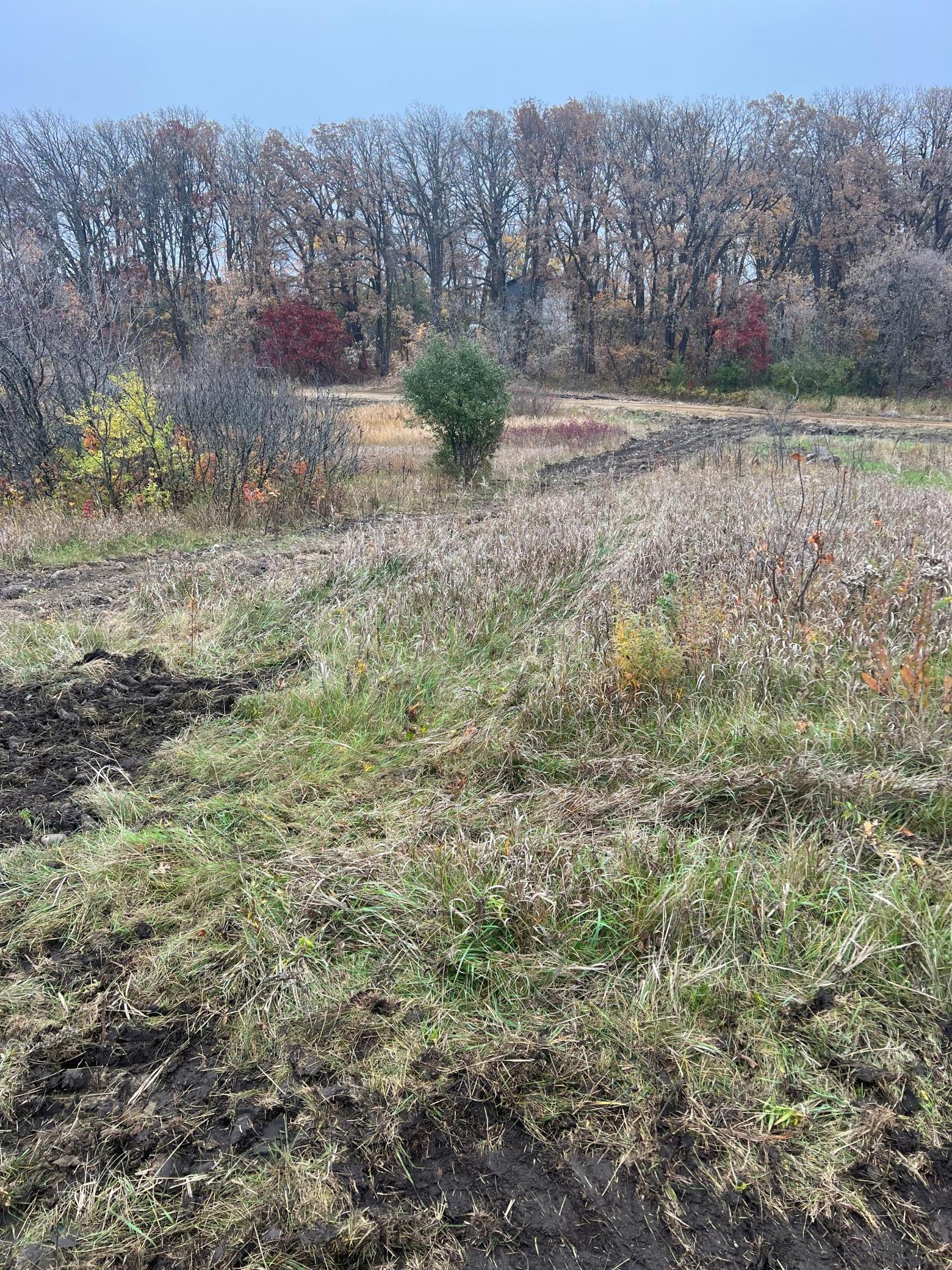 43914 Co Hwy 6 Property Photo 15