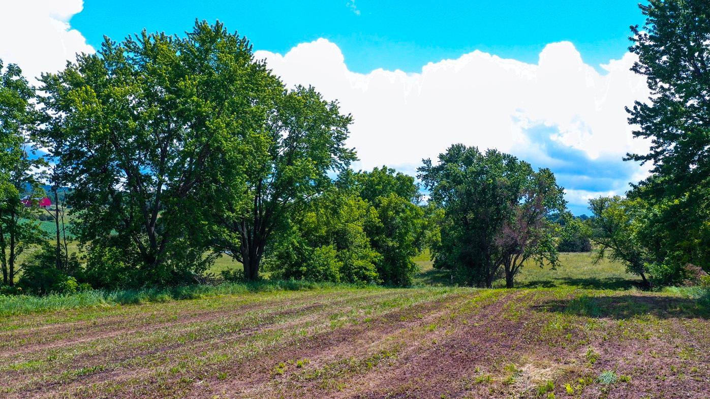 20860 Grosbeak Road Property Photo 8