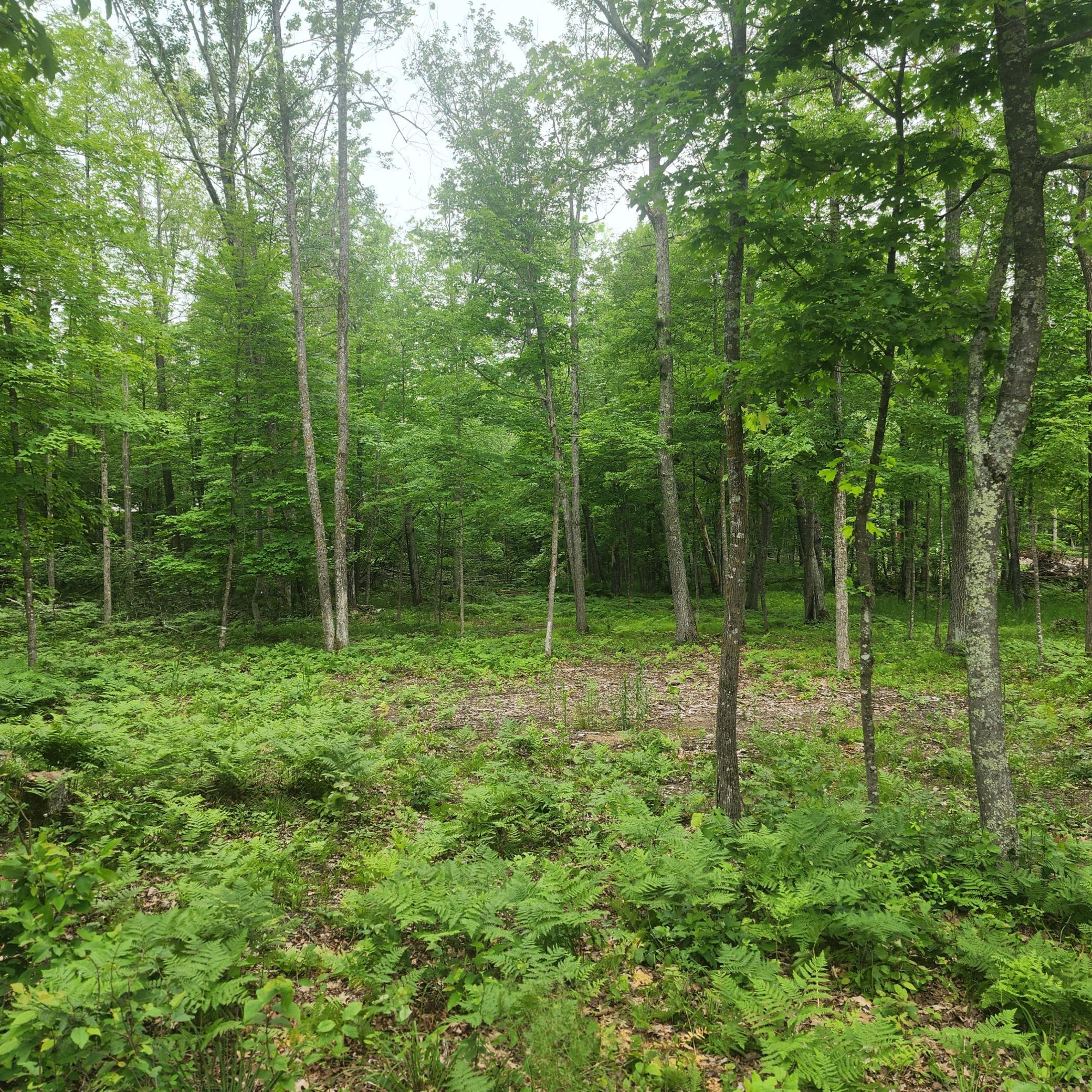 Tbd 186th Ave Property Photo 2