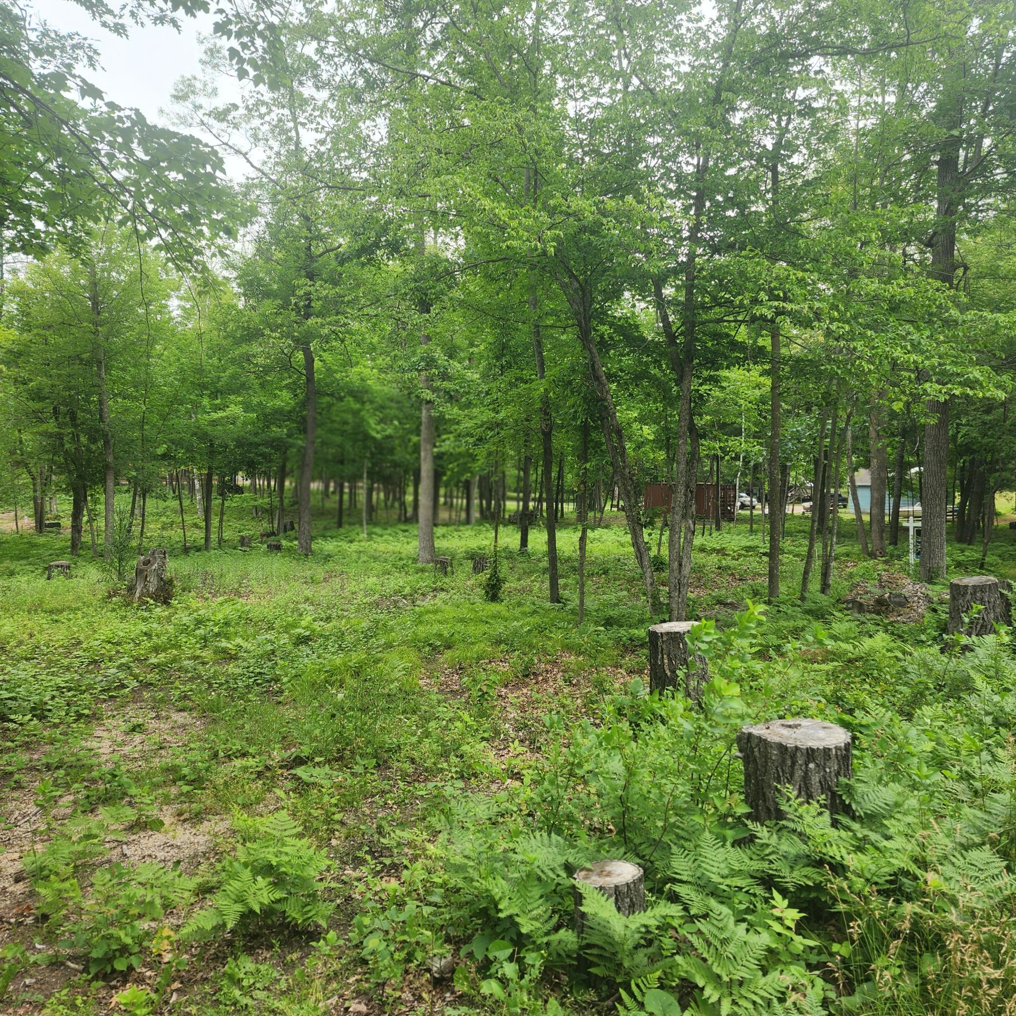 Tbd 186th Ave Property Photo 3