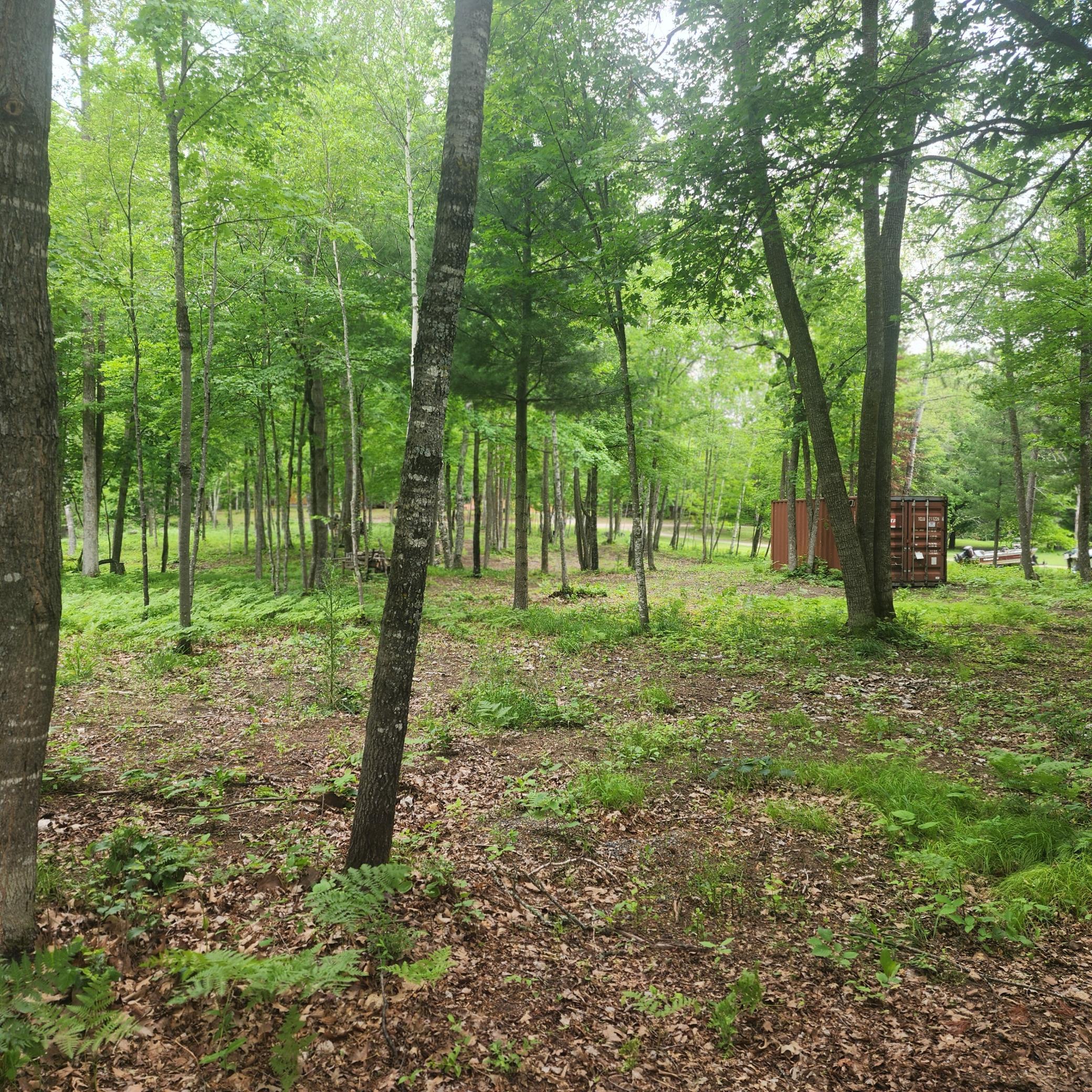 Tbd 186th Ave Property Photo 4