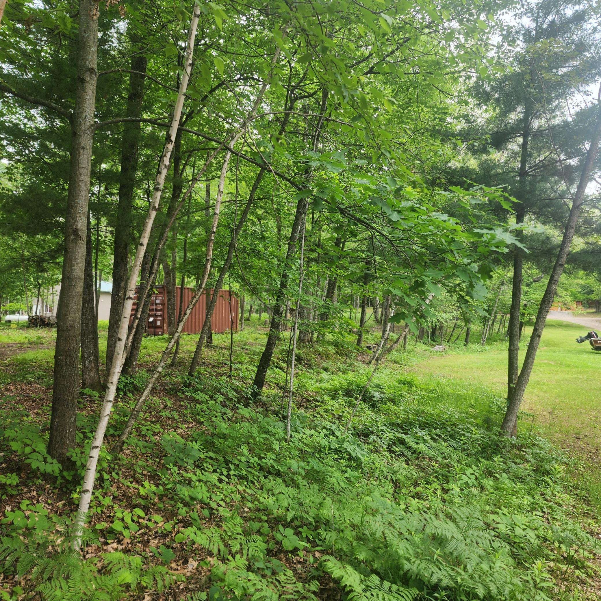 Tbd 186th Ave Property Photo 5