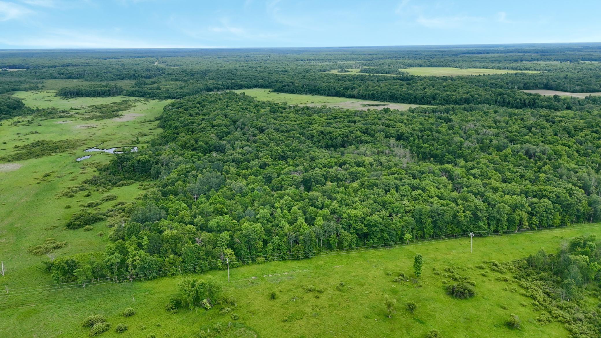 25756 Us Highway 169 Property Photo 59