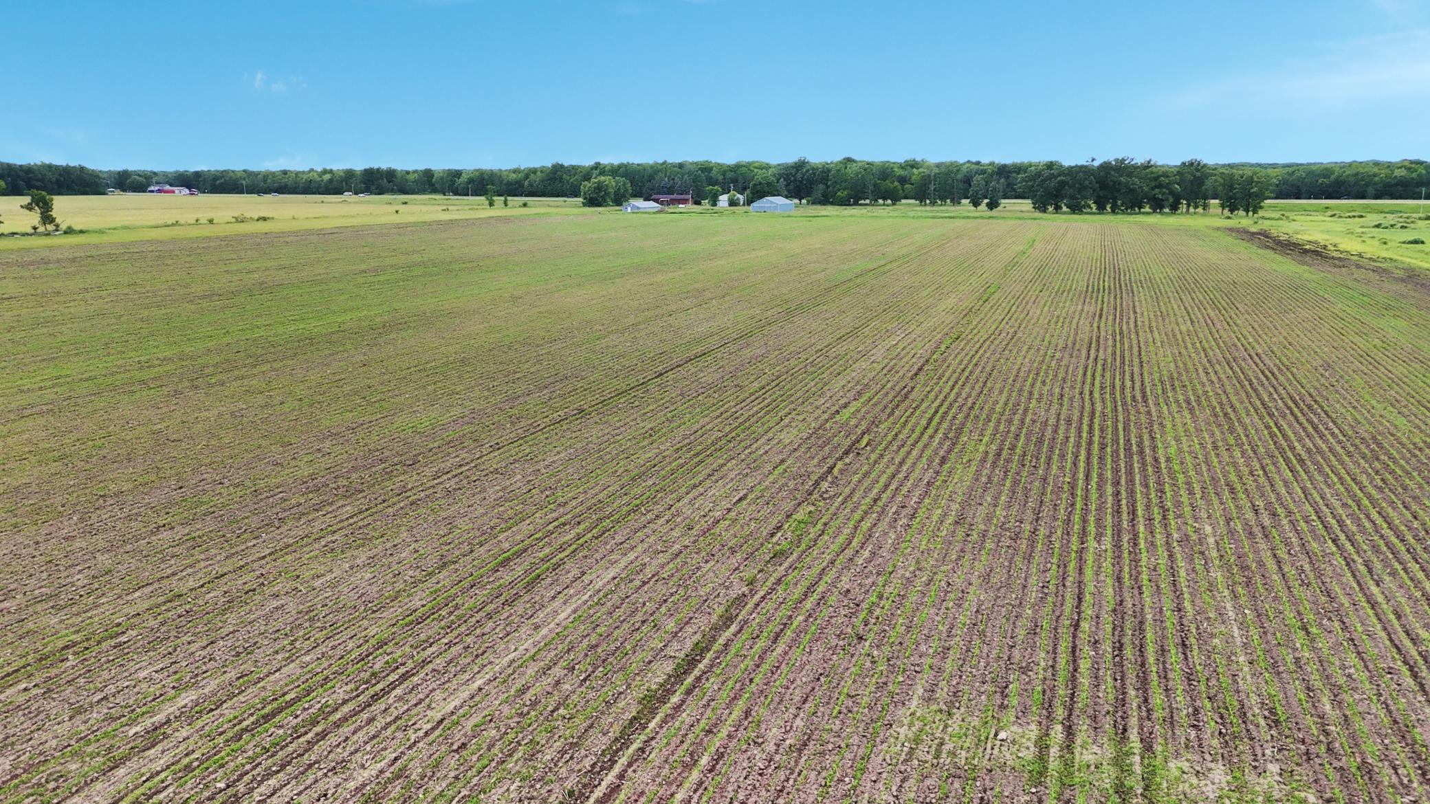 25756 Us Highway 169 Property Photo 63