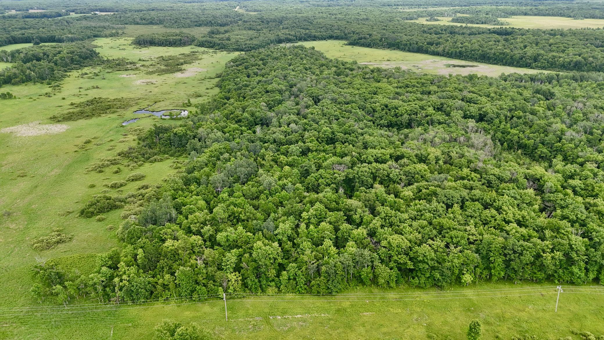 25756 Us Highway 169 Property Photo 65