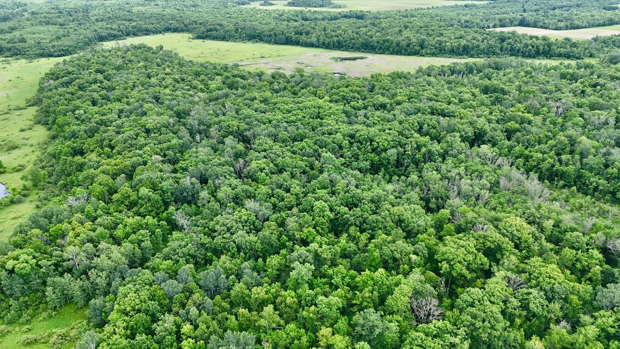 25756 Us Highway 169 Property Photo 67