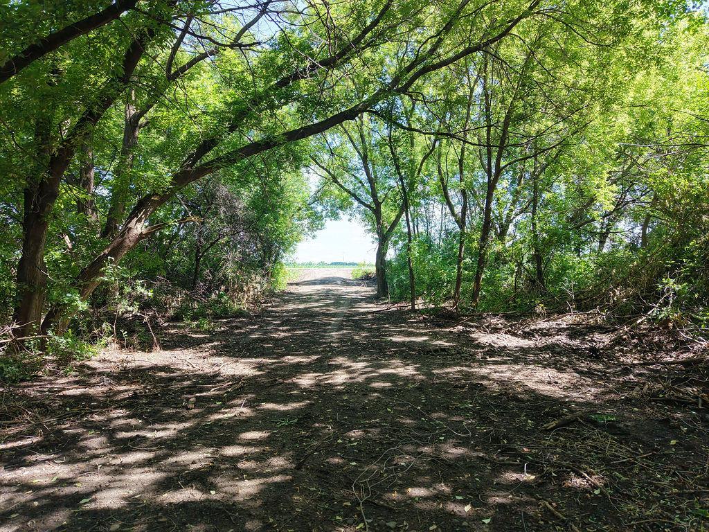 Tbd County Rd 14 Property Photo 19