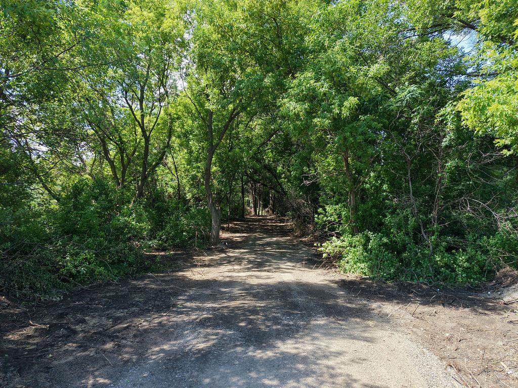 Tbd County Rd 14 Property Photo 23