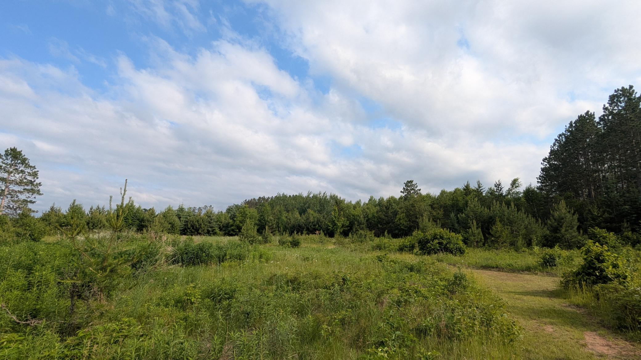 86196 Military Road Property Photo 27