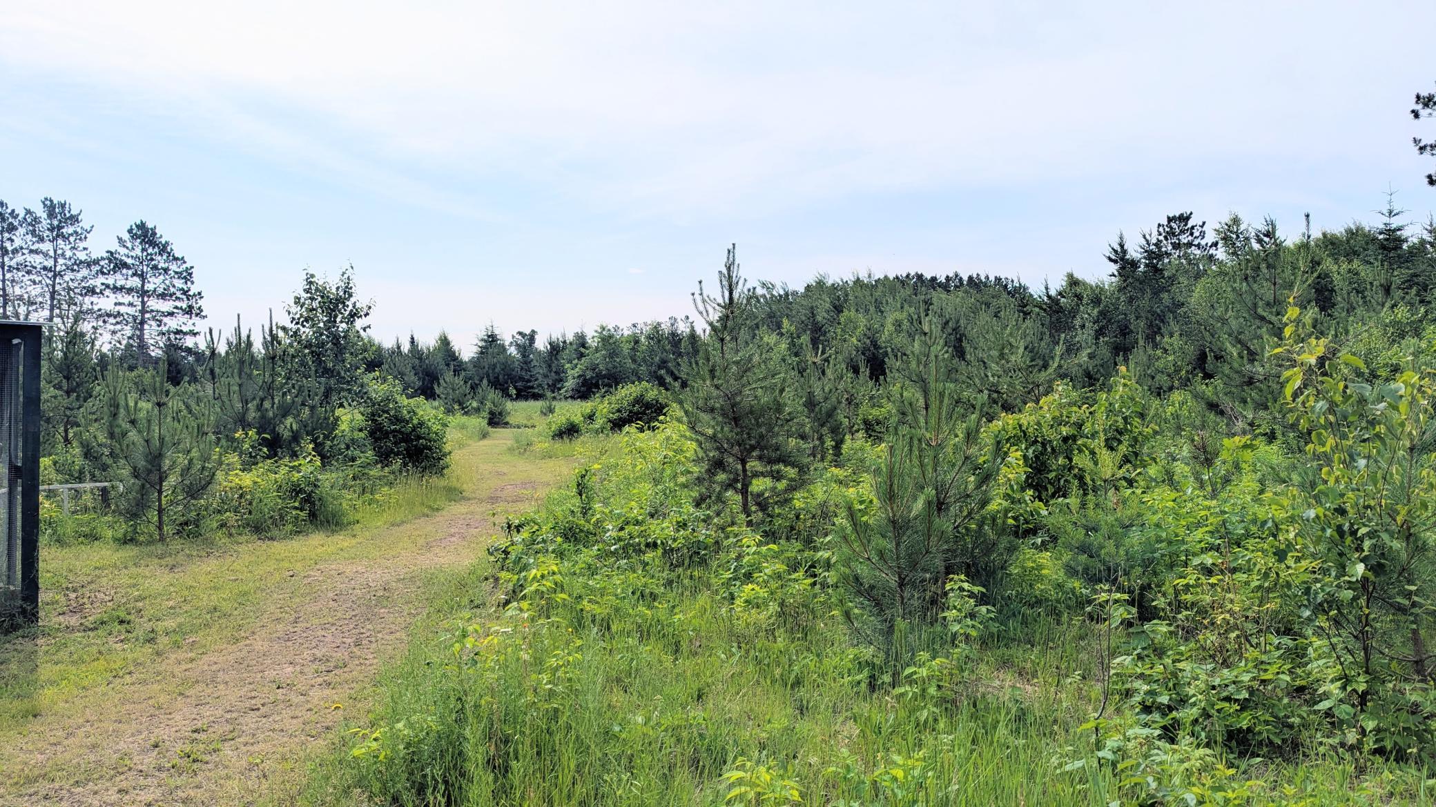 86196 Military Road Property Photo 38