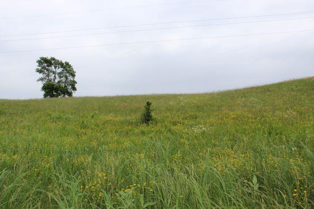Lot E Echo Ridge Property Photo 8
