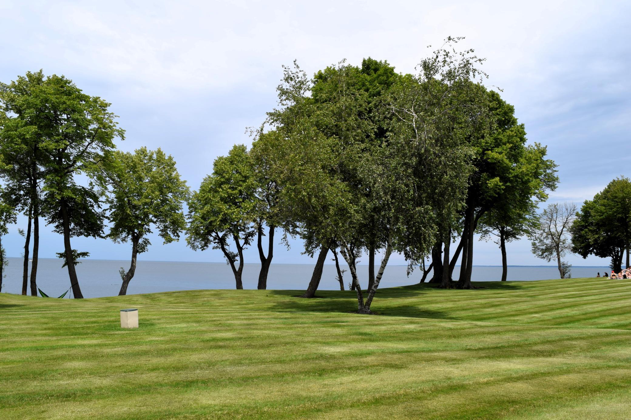 8038 Par Five Drive Property Photo 37