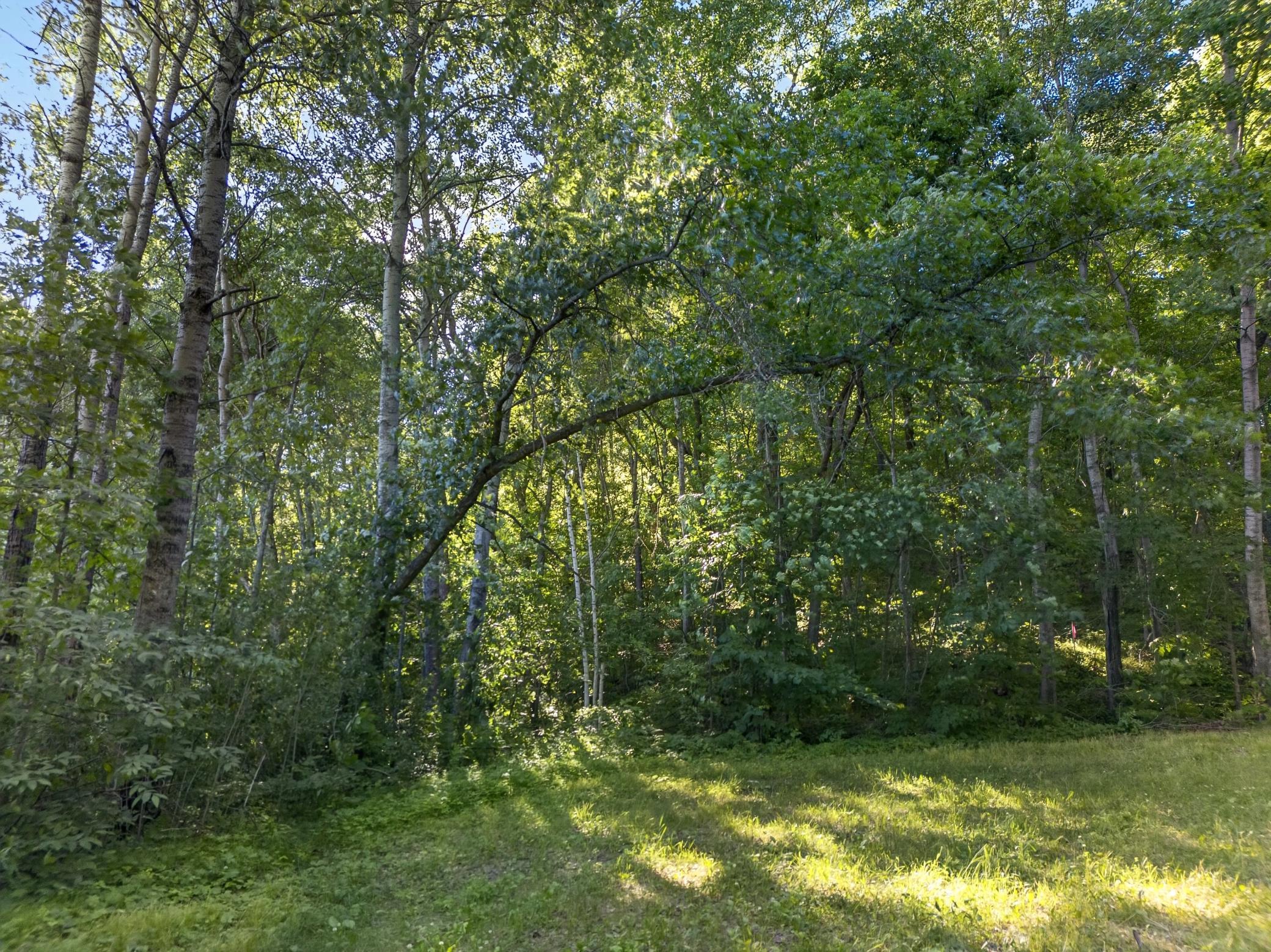 Tbd Hickory Lane Property Photo 4