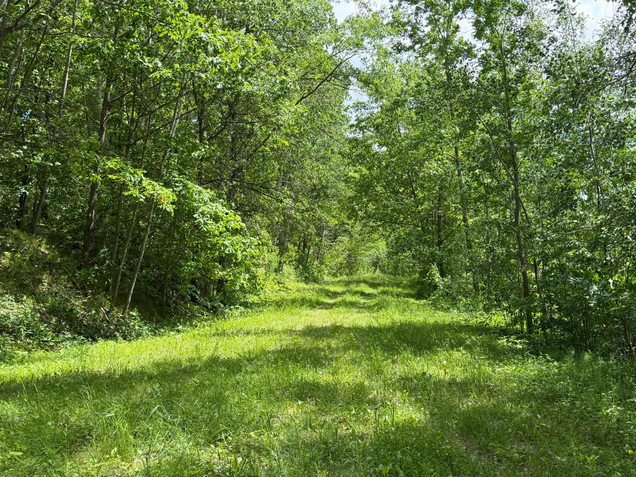 Tbd Hickory Lane Property Photo 5