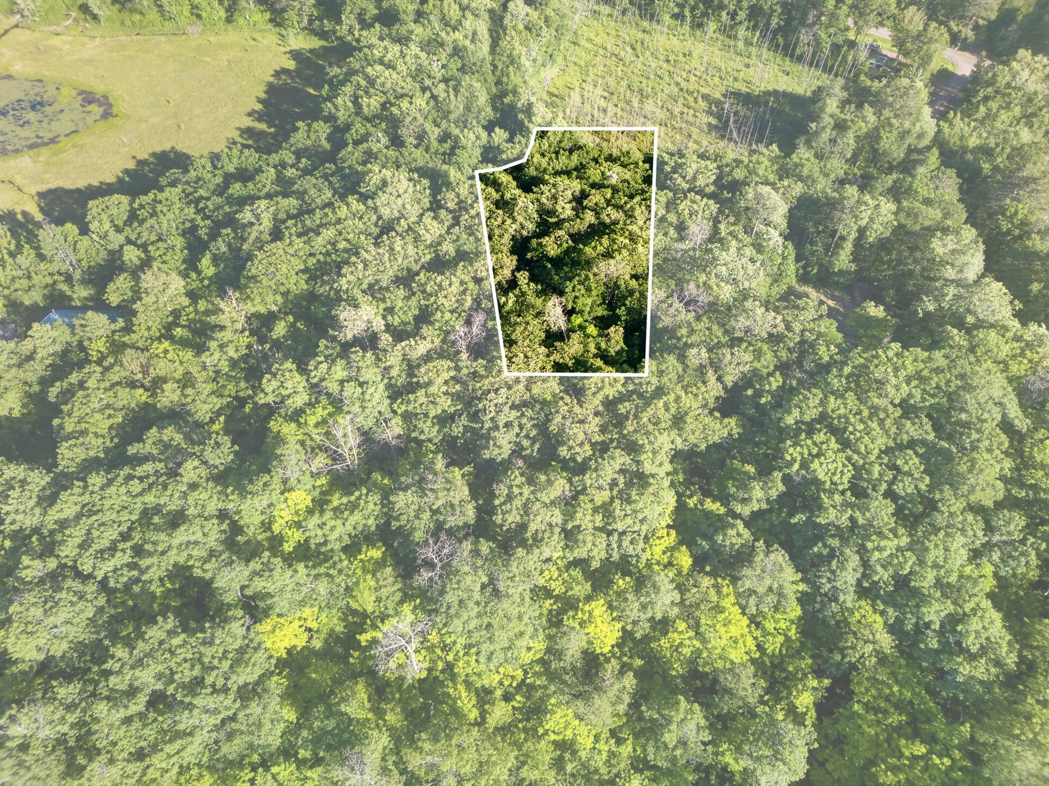Tbd Hickory Lane Property Photo 7
