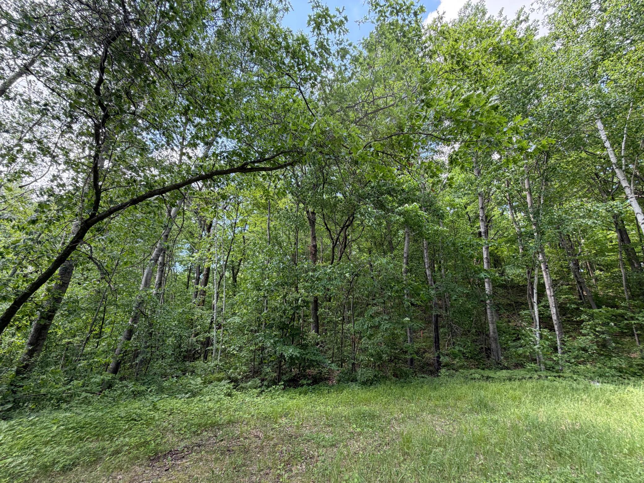 Tbd Hickory Lane Property Photo 8