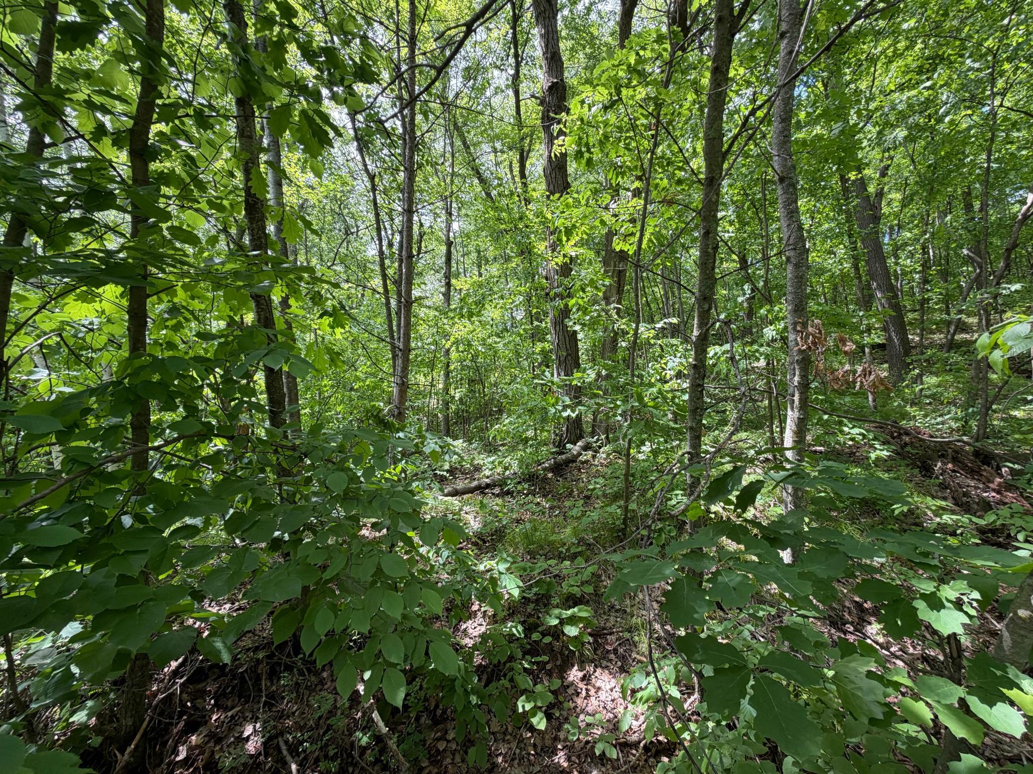 Tbd Hickory Lane Property Photo 10