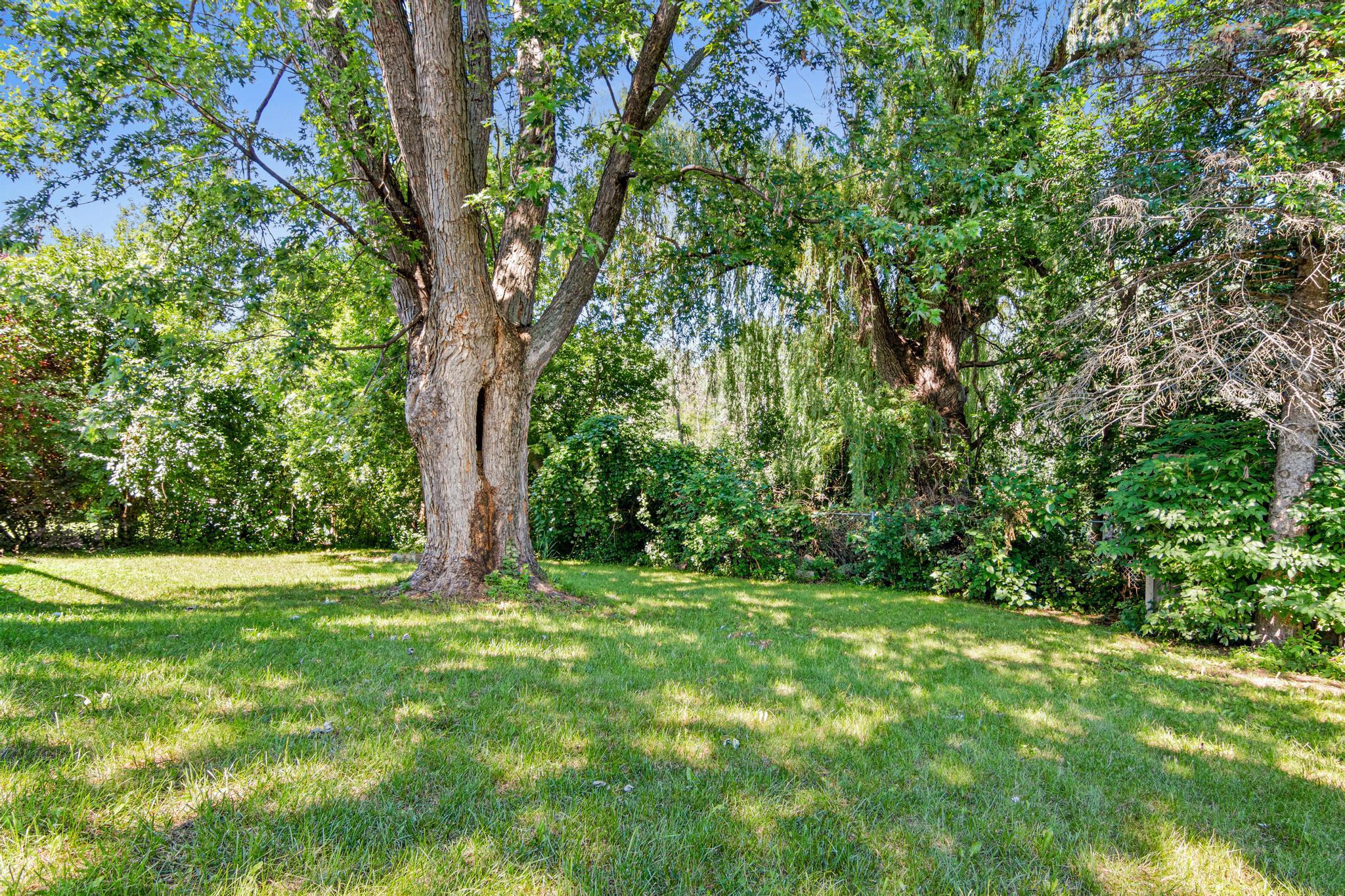 3635 12th Avenue Property Photo 29