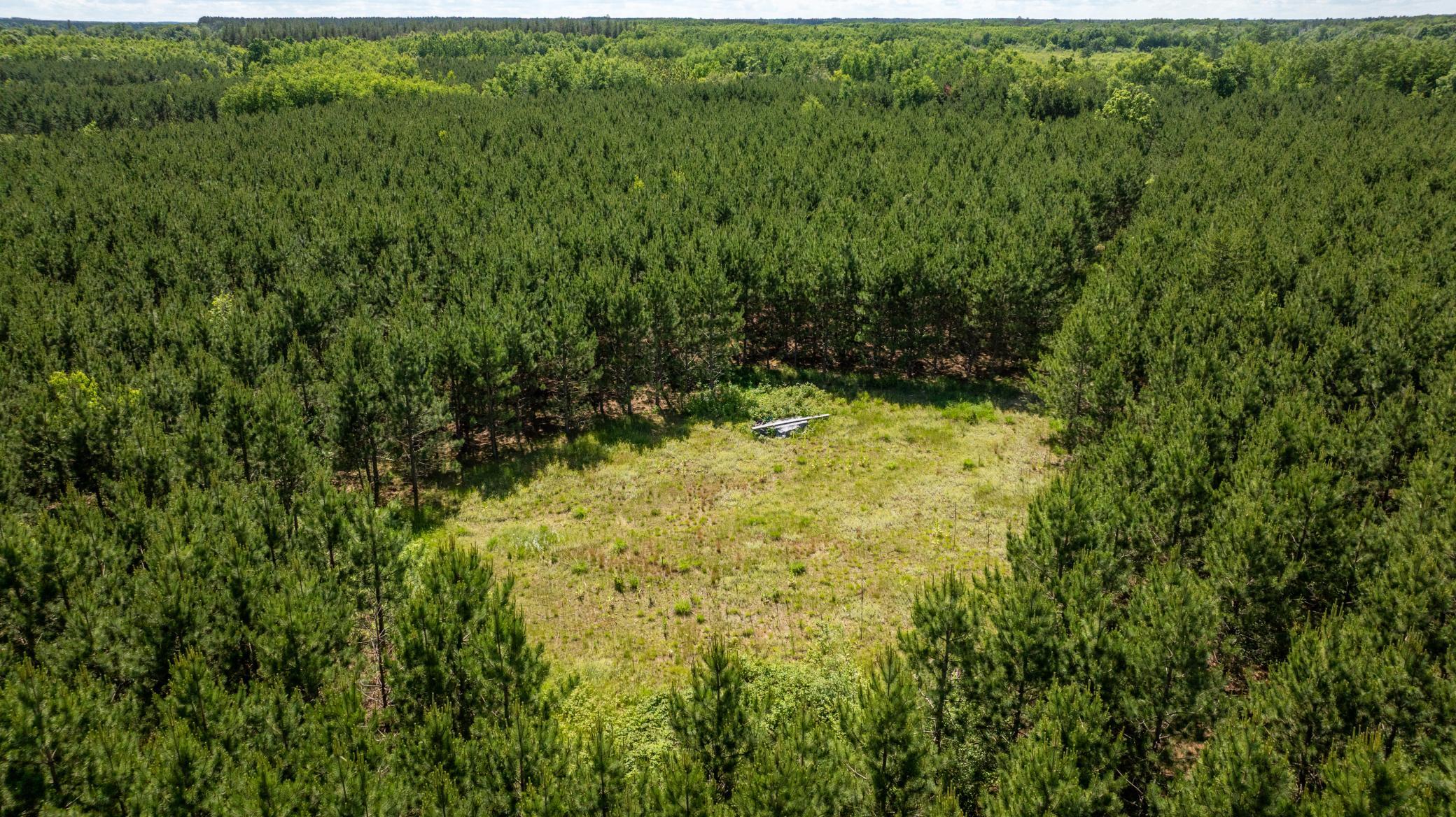 22415 Wilderness Drive Property Photo 8