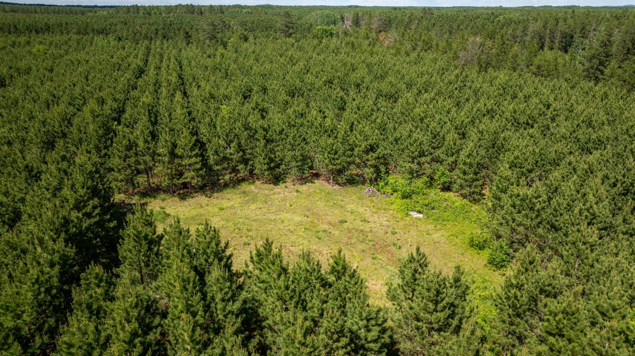 22415 Wilderness Drive Property Photo 12