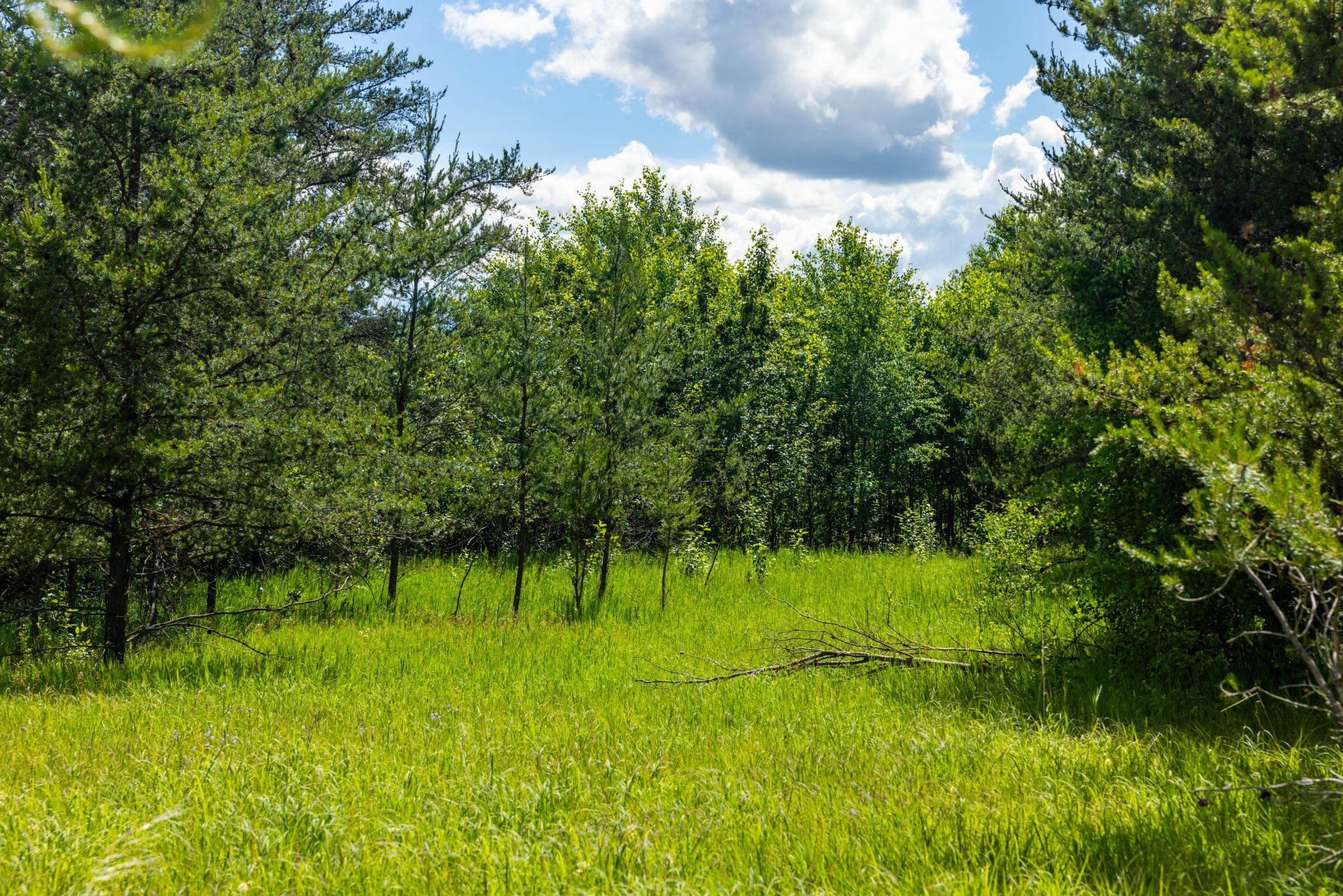 22415 Wilderness Drive Property Photo 20