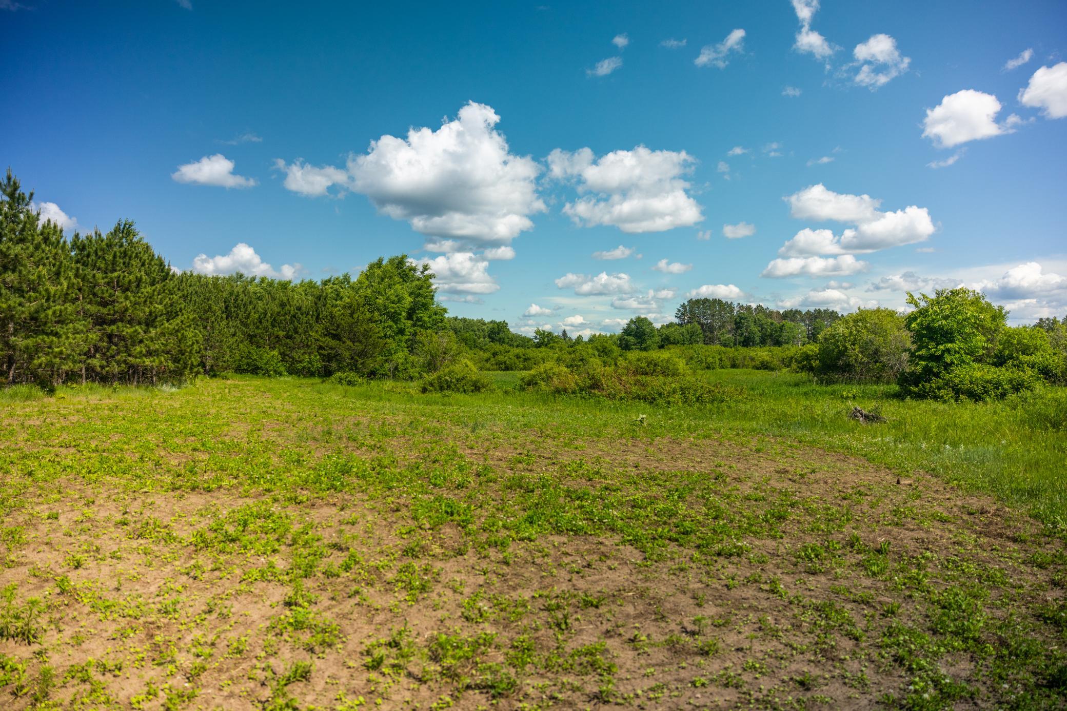22415 Wilderness Drive Property Photo 34