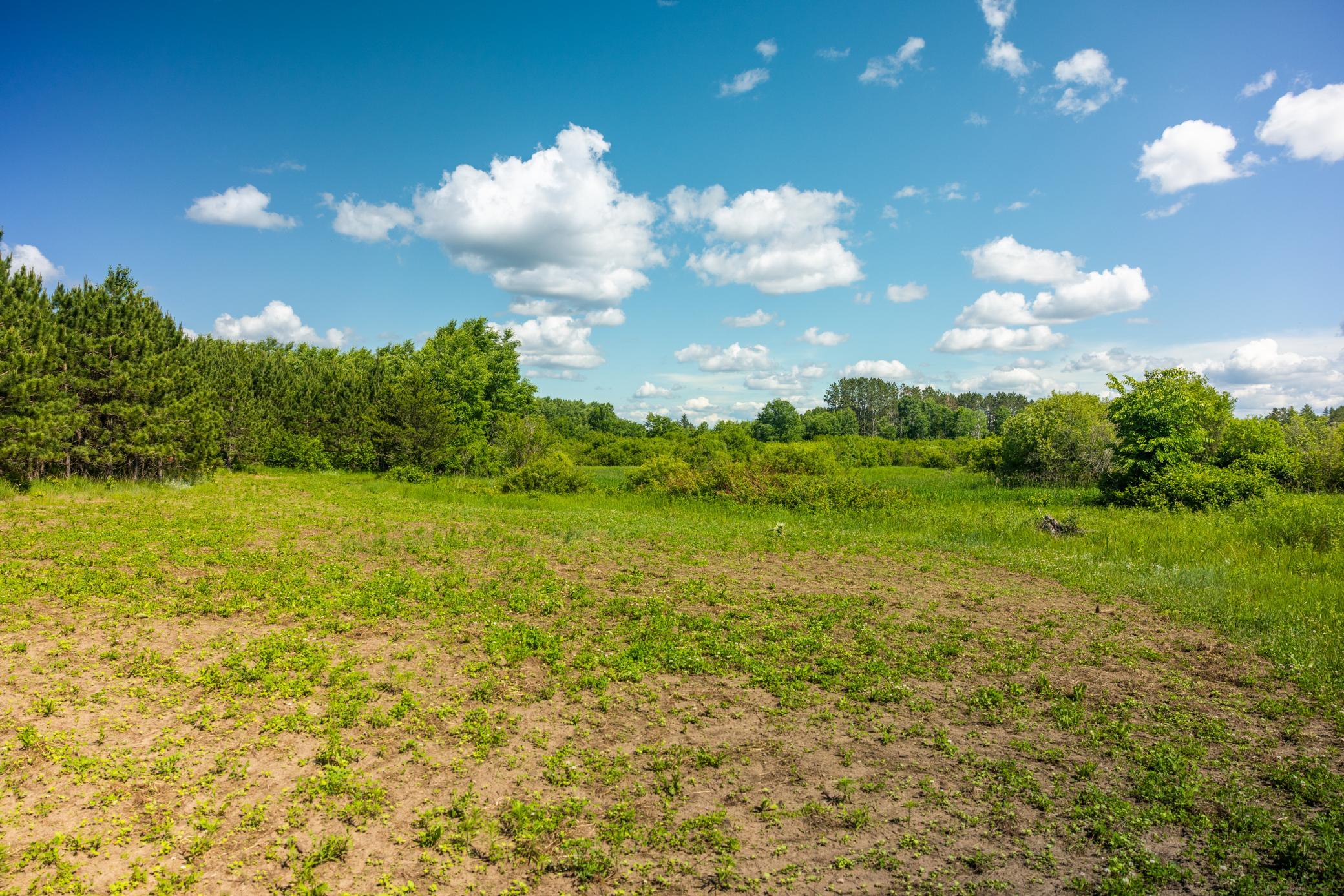 22415 Wilderness Drive Property Photo 35