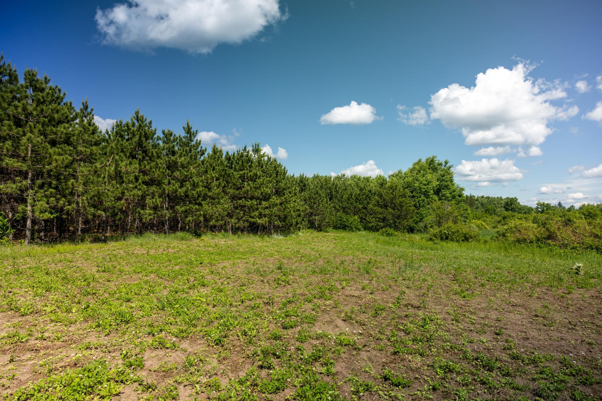 22415 Wilderness Drive Property Photo 38