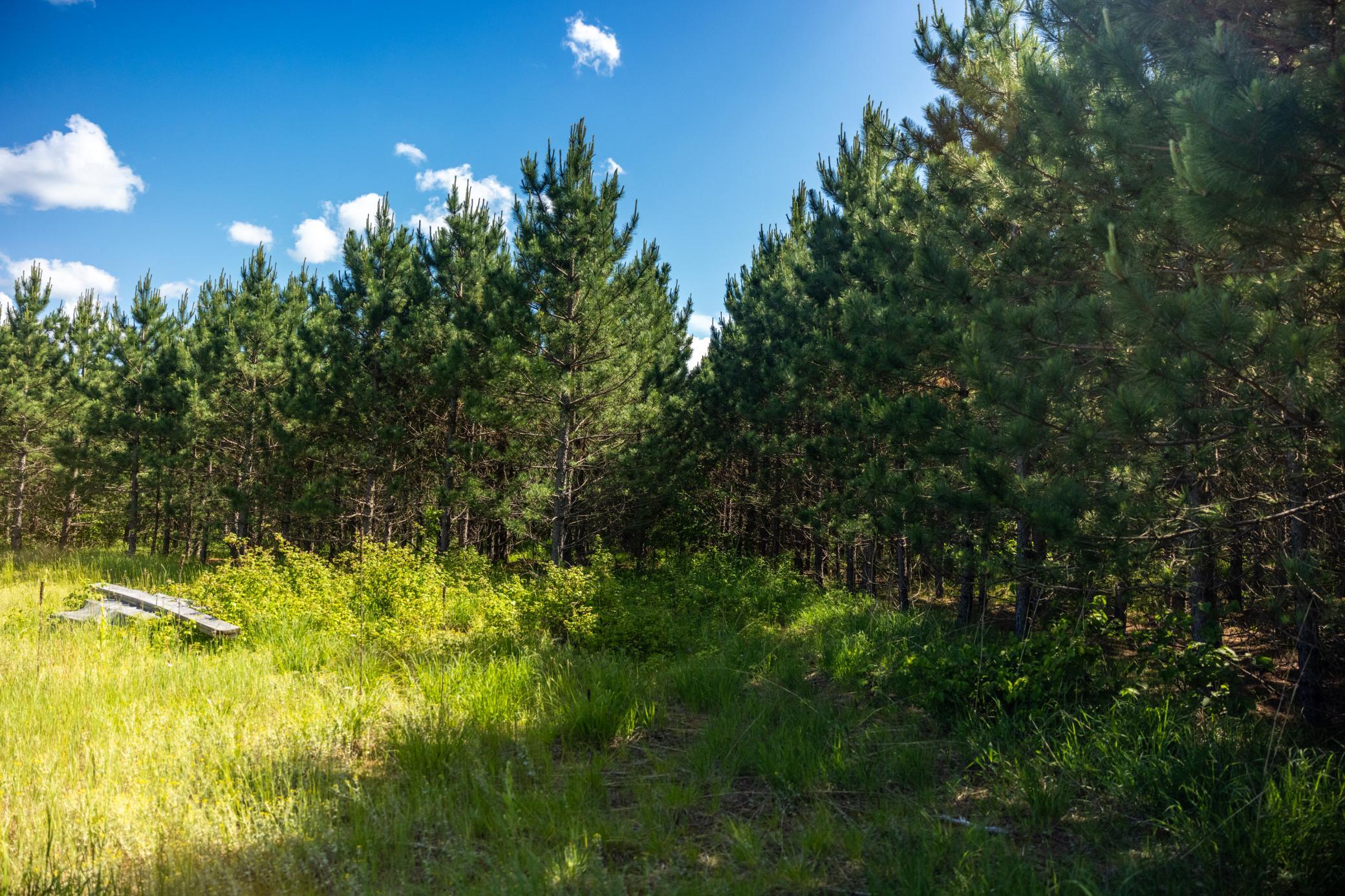 22415 Wilderness Drive Property Photo 40
