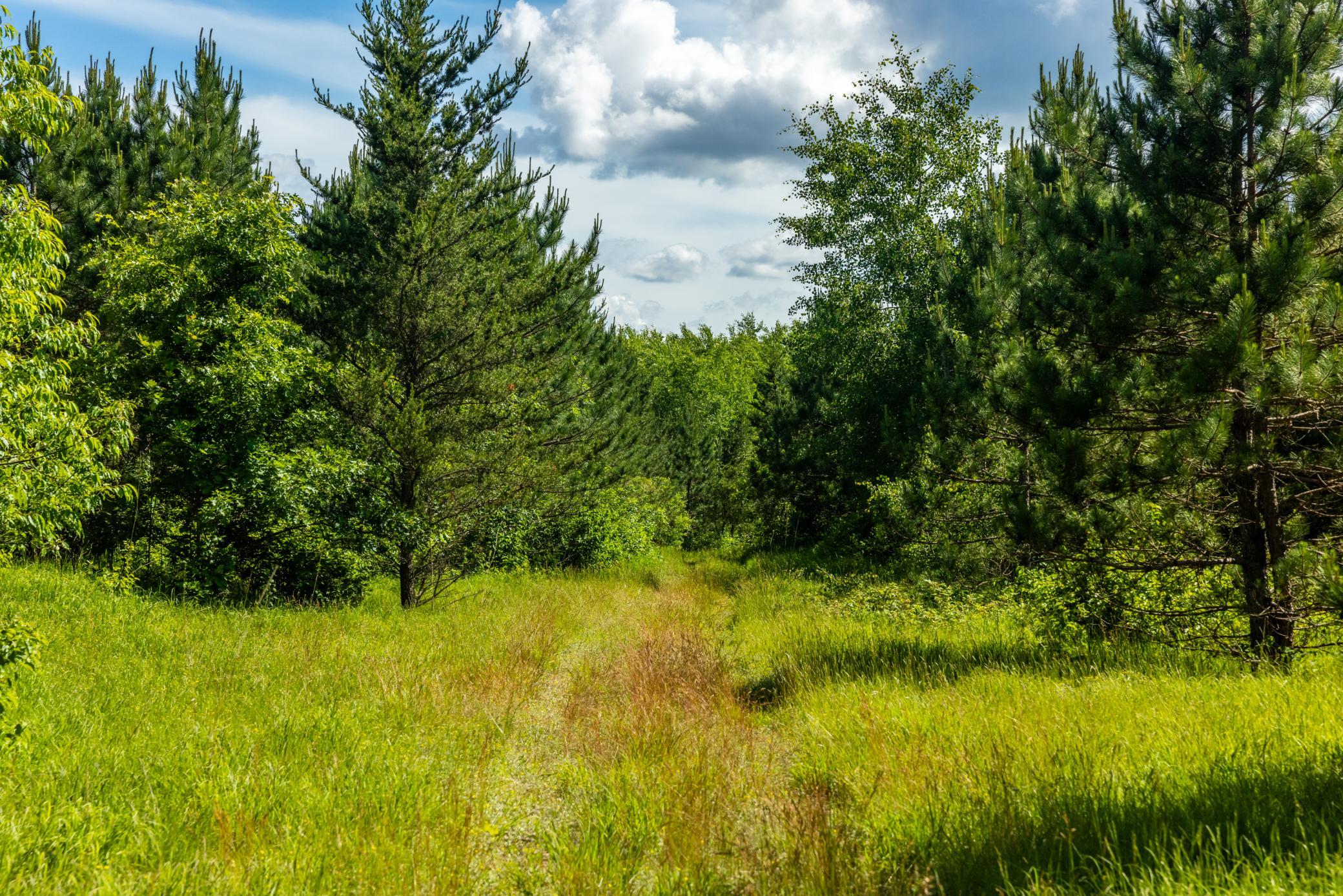 22415 Wilderness Drive Property Photo 43