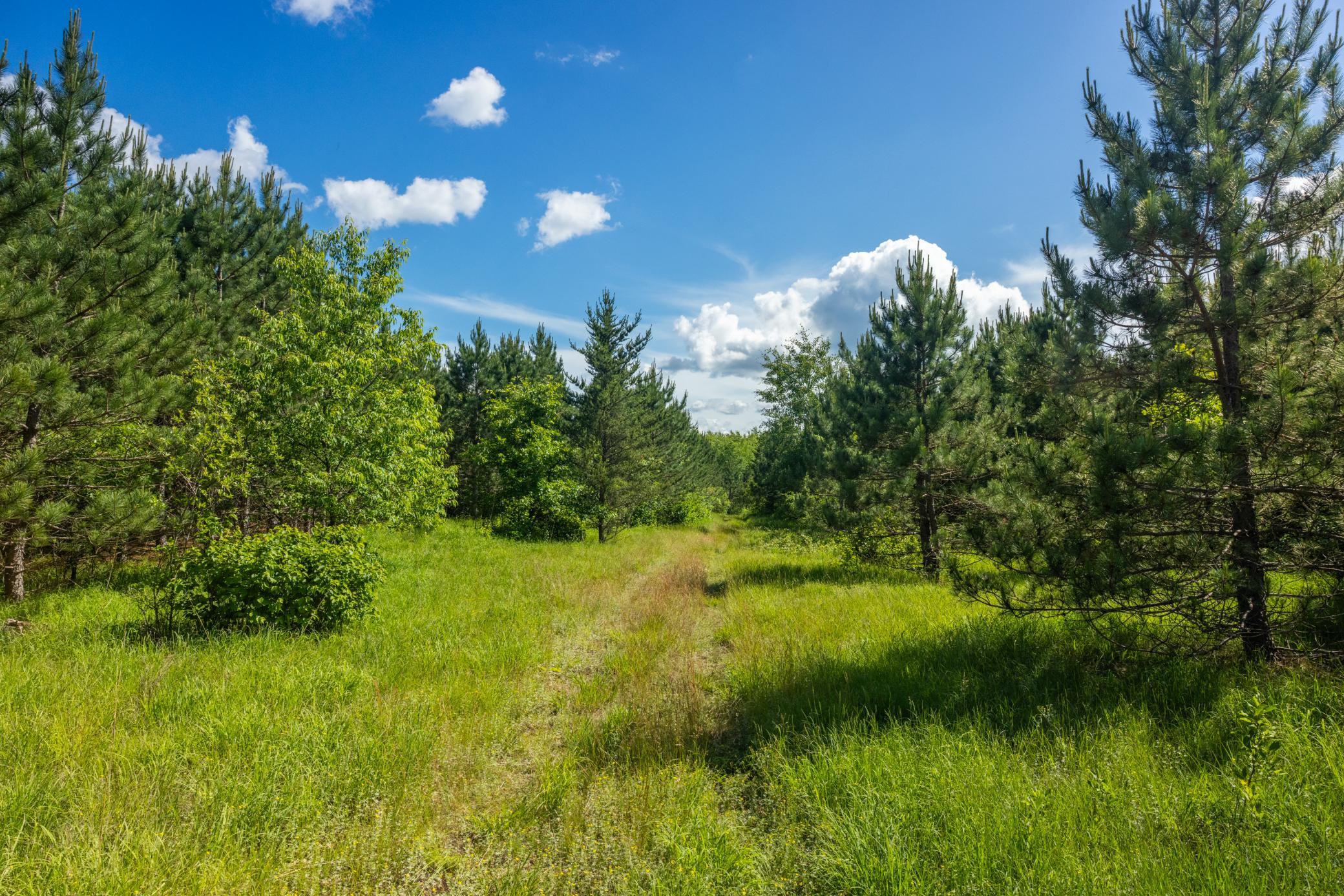 22415 Wilderness Drive Property Photo 45