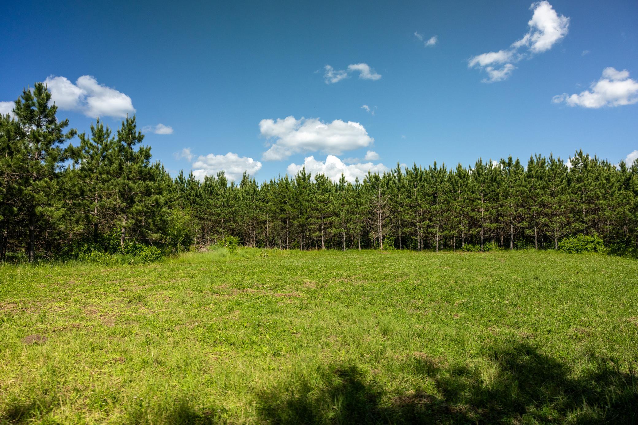 22415 Wilderness Drive Property Photo 47
