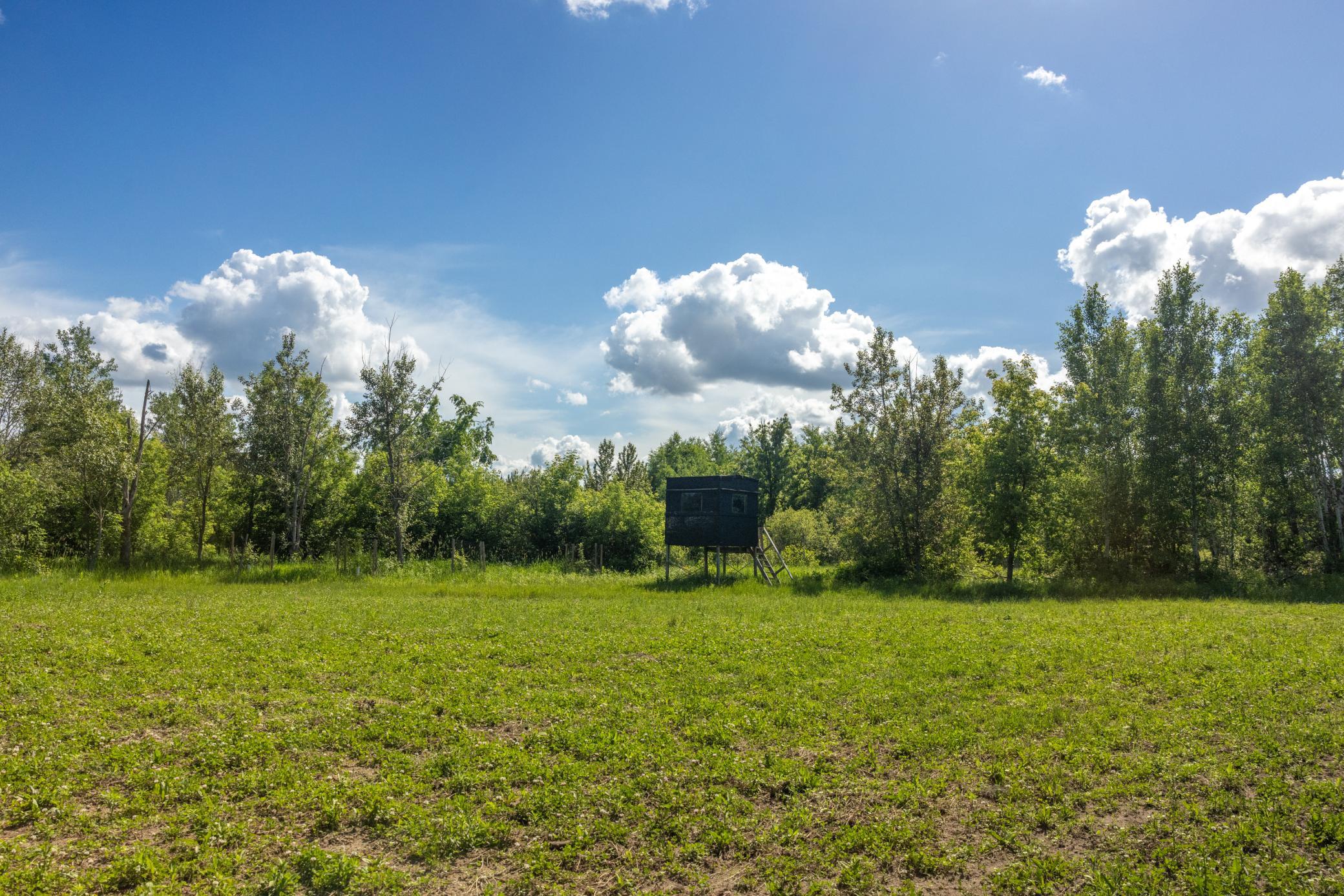 22415 Wilderness Drive Property Photo 49