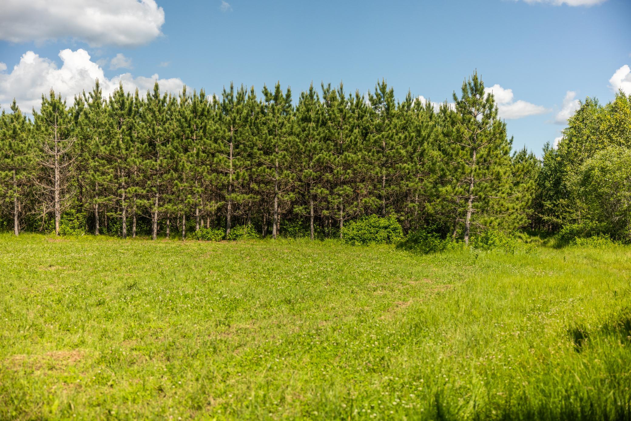 22415 Wilderness Drive Property Photo 51