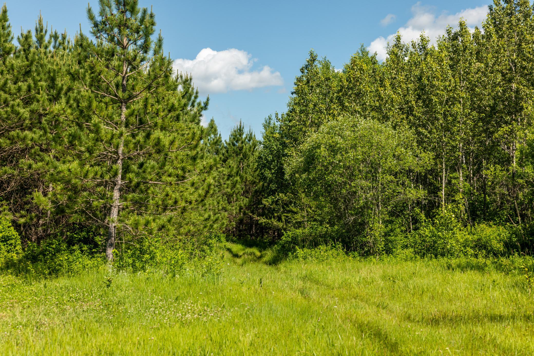 22415 Wilderness Drive Property Photo 57