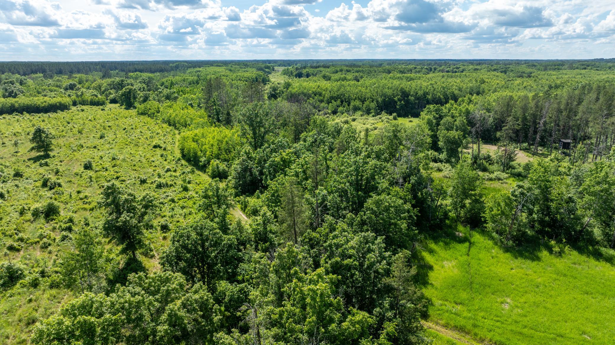 22415 Wilderness Drive Property Photo 60