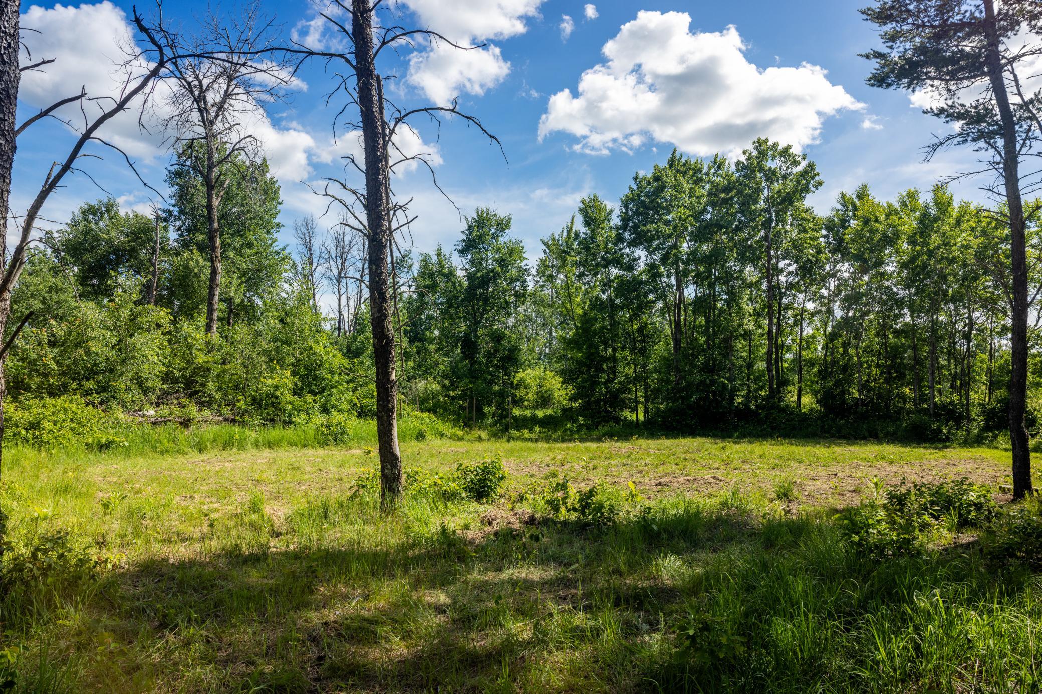 22415 Wilderness Drive Property Photo 62